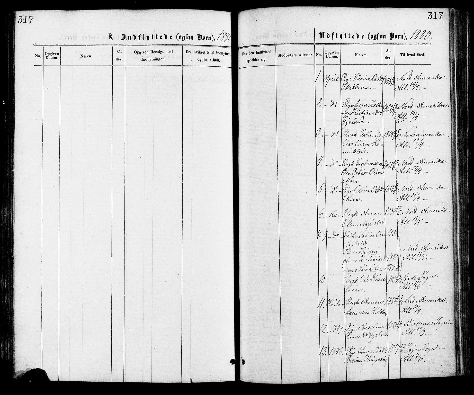 Hægebostad sokneprestkontor, SAK/1111-0024/F/Fa/Faa/L0005: Ministerialbok nr. A 5, 1864-1886, s. 317