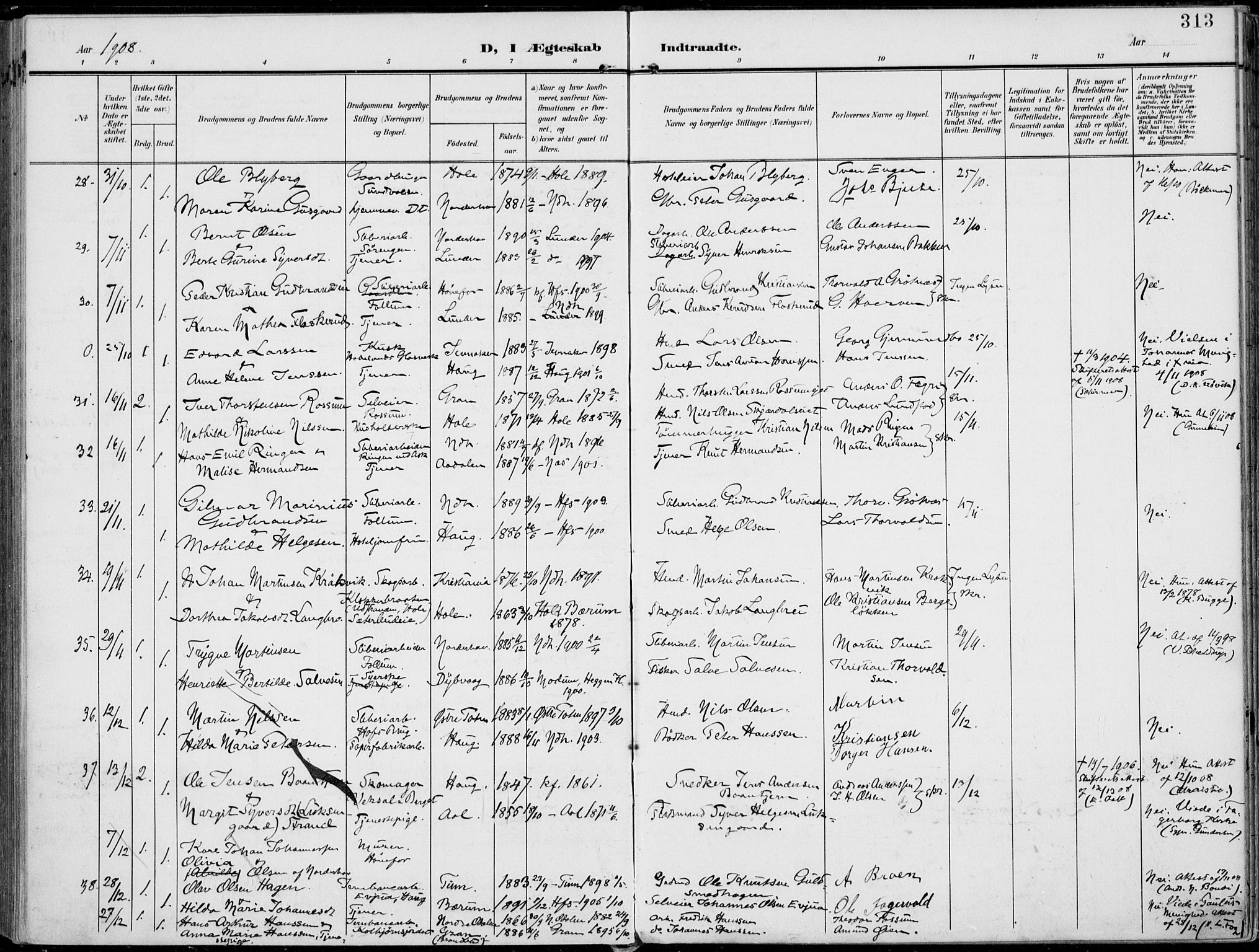 Norderhov kirkebøker, AV/SAKO-A-237/F/Fa/L0017: Ministerialbok nr. 17, 1903-1919, s. 313