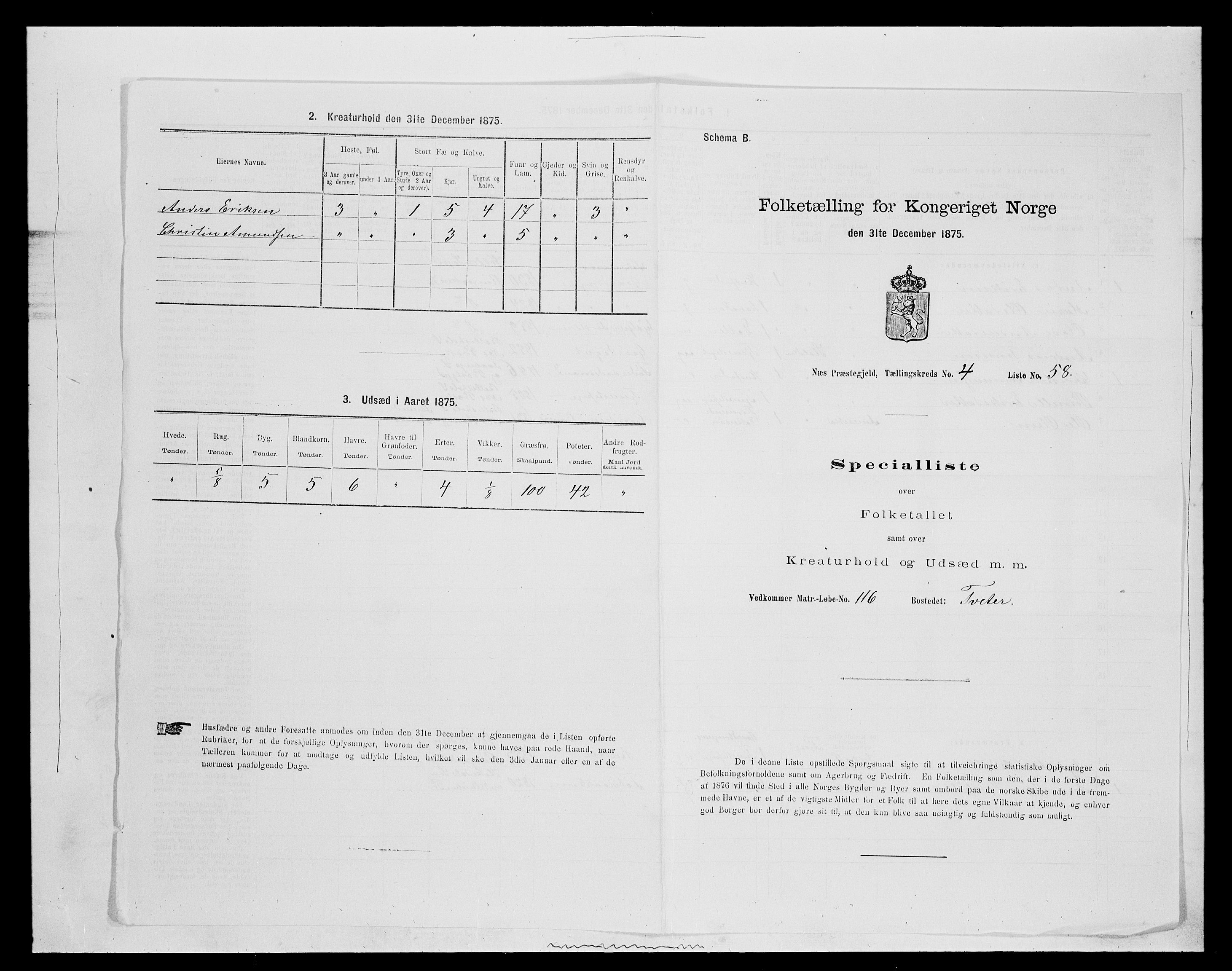 SAH, Folketelling 1875 for 0411P Nes prestegjeld, 1875, s. 781