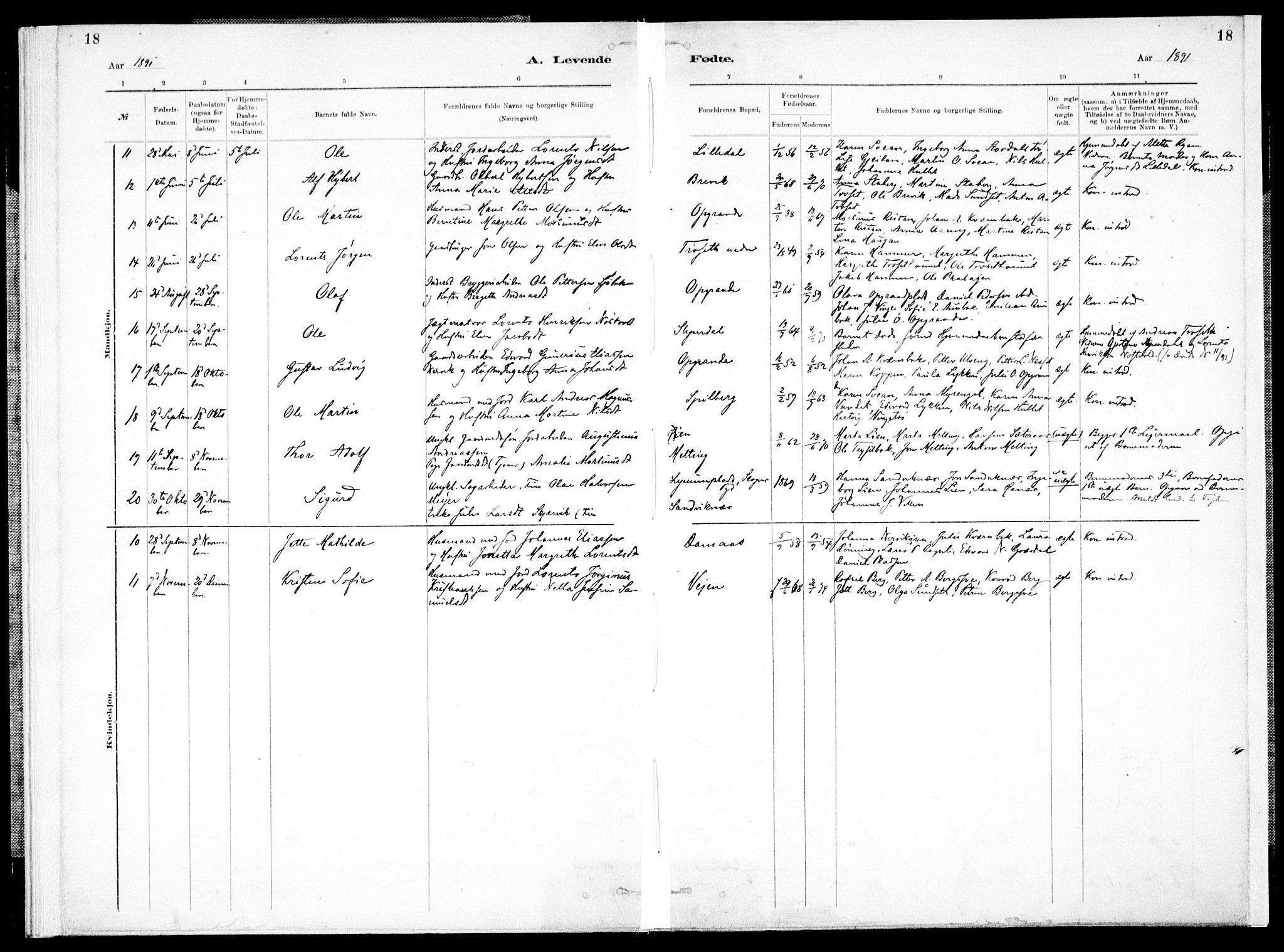 Ministerialprotokoller, klokkerbøker og fødselsregistre - Nord-Trøndelag, SAT/A-1458/733/L0325: Ministerialbok nr. 733A04, 1884-1908, s. 18