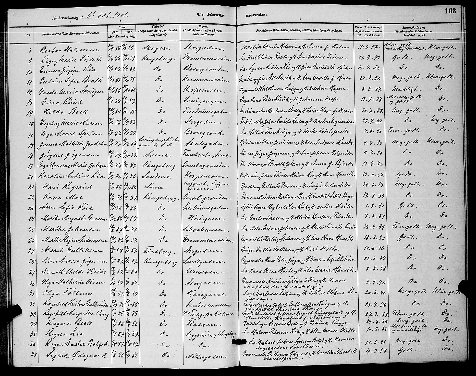 Kongsberg kirkebøker, AV/SAKO-A-22/G/Ga/L0006: Klokkerbok nr. 6, 1890-1901, s. 163