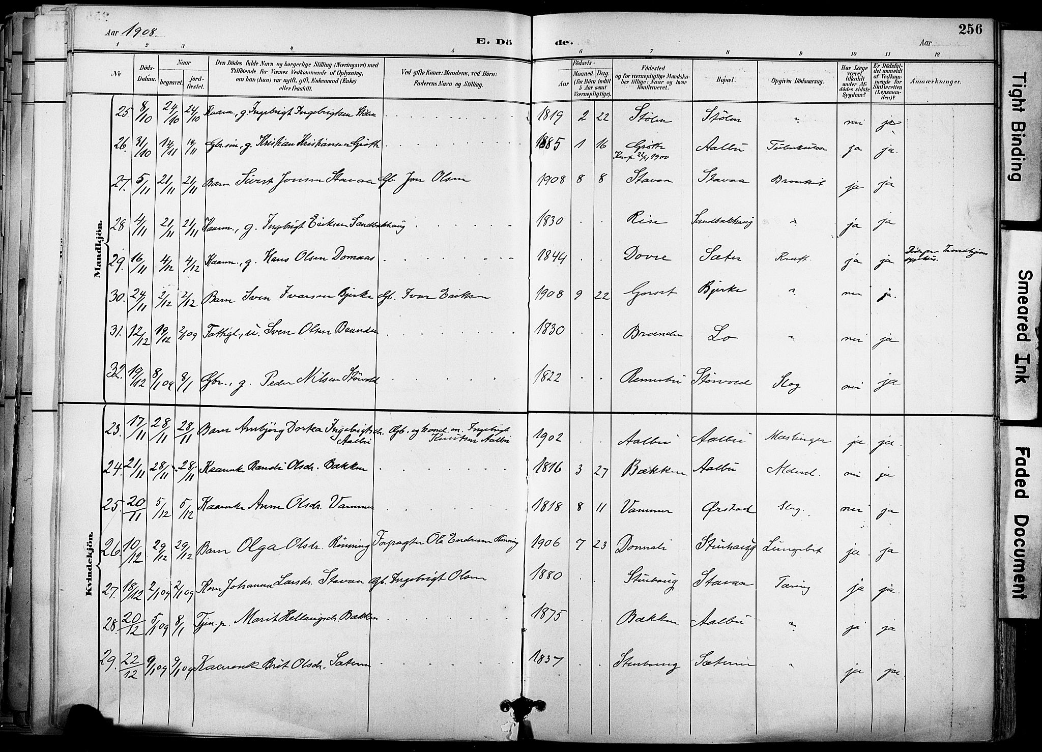 Ministerialprotokoller, klokkerbøker og fødselsregistre - Sør-Trøndelag, SAT/A-1456/678/L0902: Ministerialbok nr. 678A11, 1895-1911, s. 256