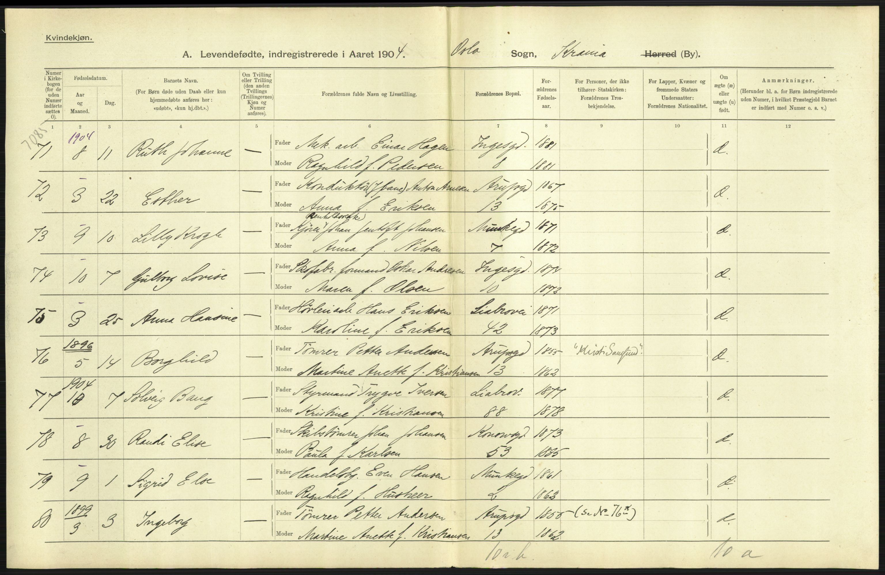 Statistisk sentralbyrå, Sosiodemografiske emner, Befolkning, AV/RA-S-2228/D/Df/Dfa/Dfab/L0003: Kristiania: Fødte, 1904, s. 199