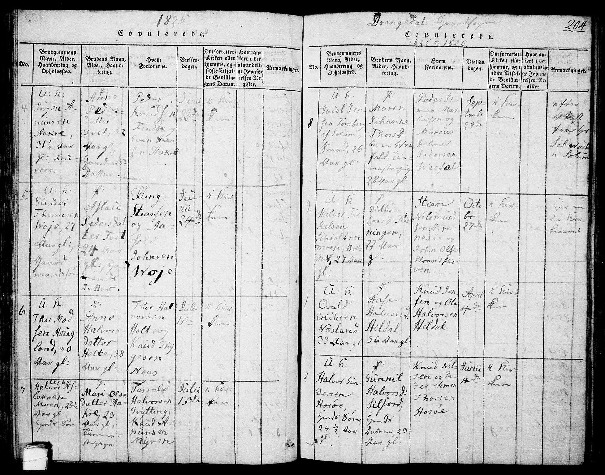 Drangedal kirkebøker, AV/SAKO-A-258/F/Fa/L0005: Ministerialbok nr. 5 /1, 1814-1831, s. 204