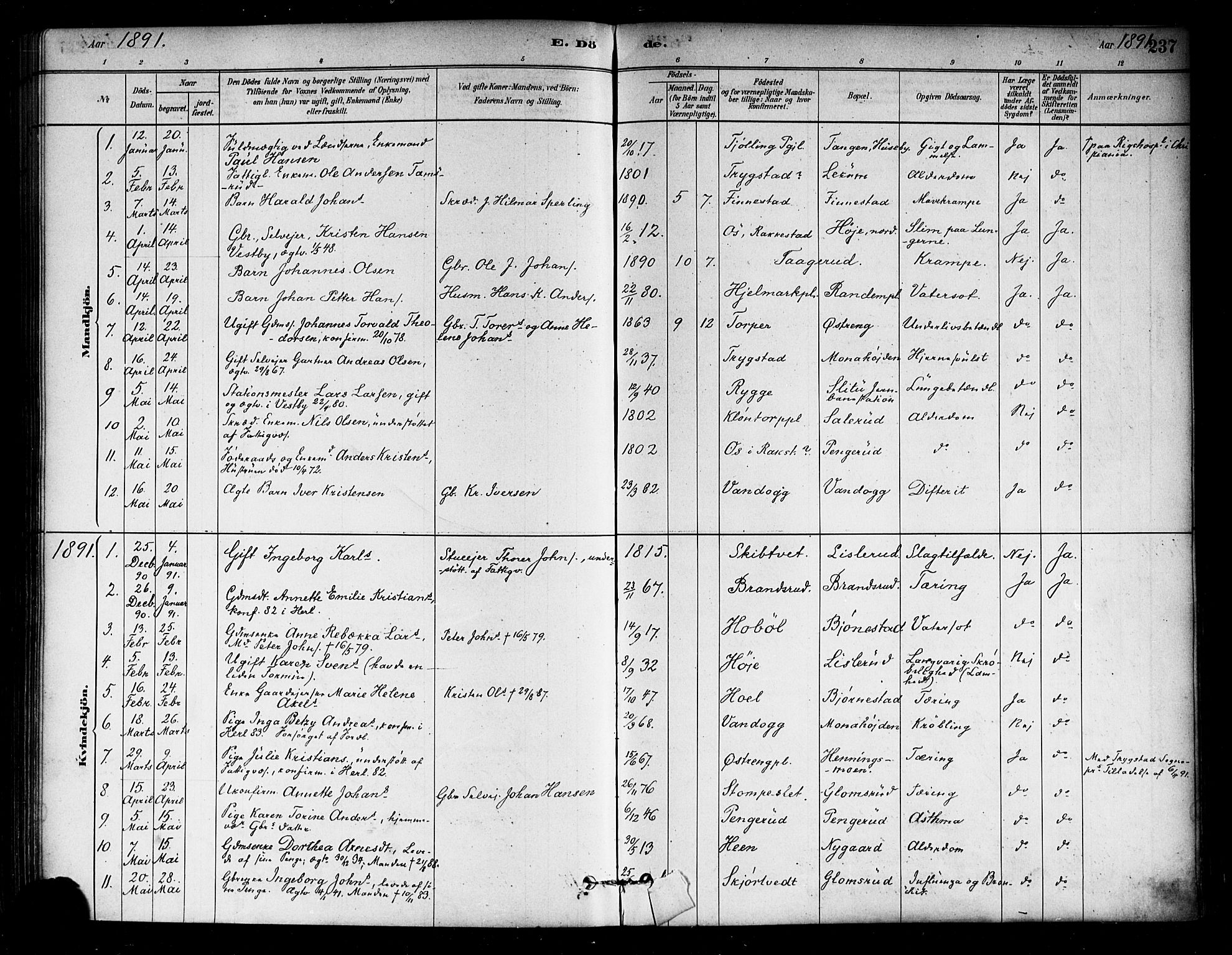 Eidsberg prestekontor Kirkebøker, AV/SAO-A-10905/F/Fa/L0012: Ministerialbok nr. I 12, 1879-1901, s. 237
