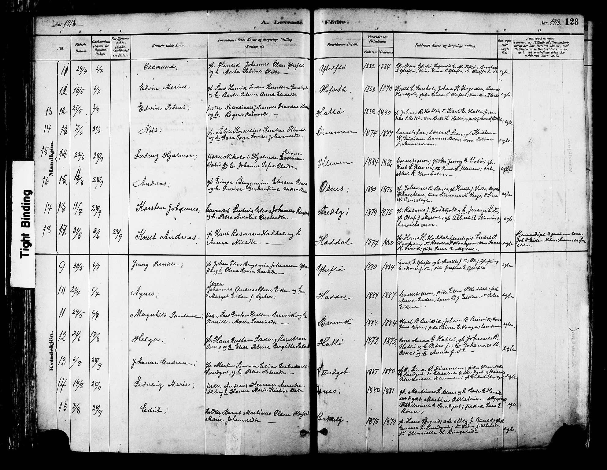 Ministerialprotokoller, klokkerbøker og fødselsregistre - Møre og Romsdal, AV/SAT-A-1454/509/L0112: Klokkerbok nr. 509C02, 1883-1922, s. 123