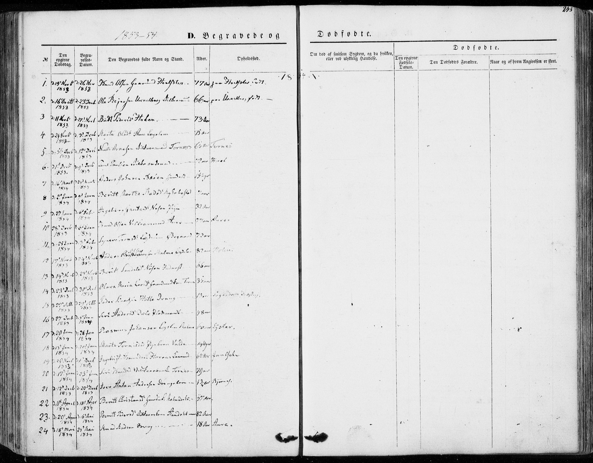 Ministerialprotokoller, klokkerbøker og fødselsregistre - Møre og Romsdal, AV/SAT-A-1454/565/L0748: Ministerialbok nr. 565A02, 1845-1872, s. 243