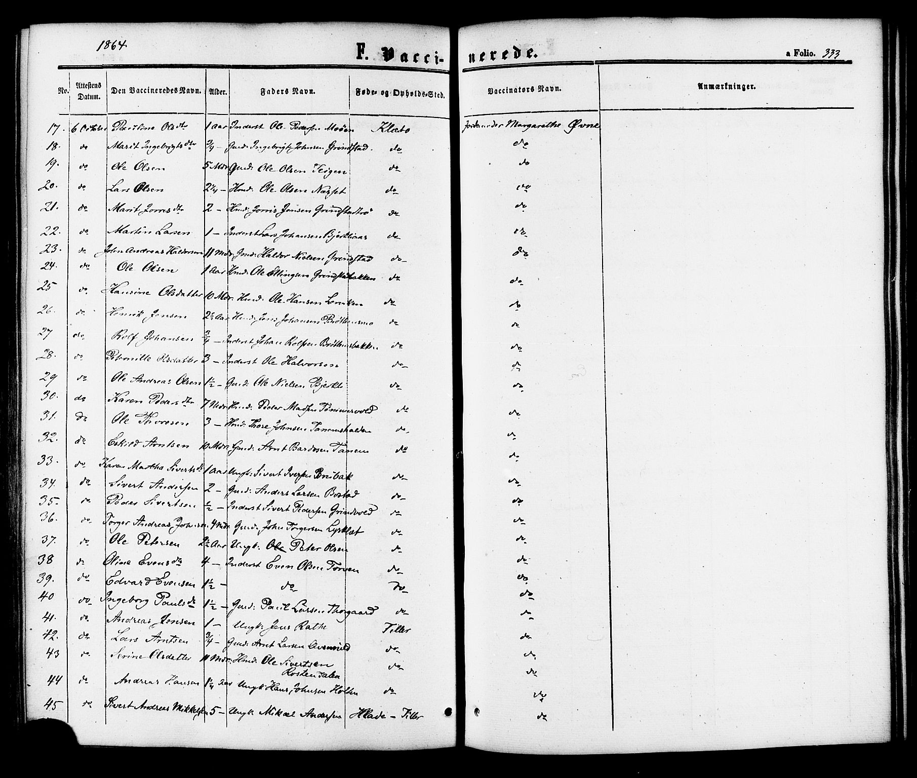 Ministerialprotokoller, klokkerbøker og fødselsregistre - Sør-Trøndelag, AV/SAT-A-1456/618/L0442: Ministerialbok nr. 618A06 /1, 1863-1879, s. 333