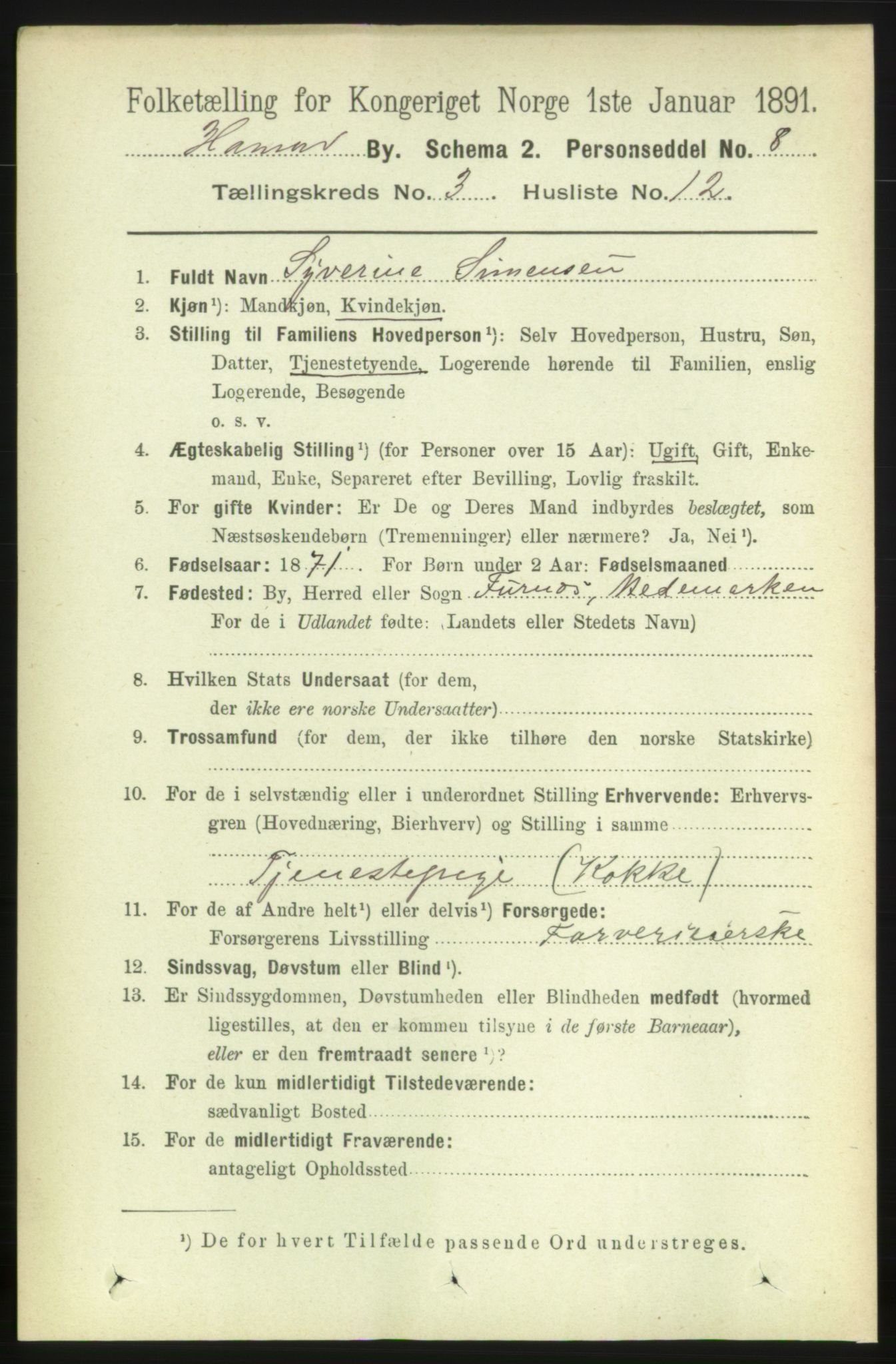 RA, Folketelling 1891 for 0401 Hamar kjøpstad, 1891, s. 1887