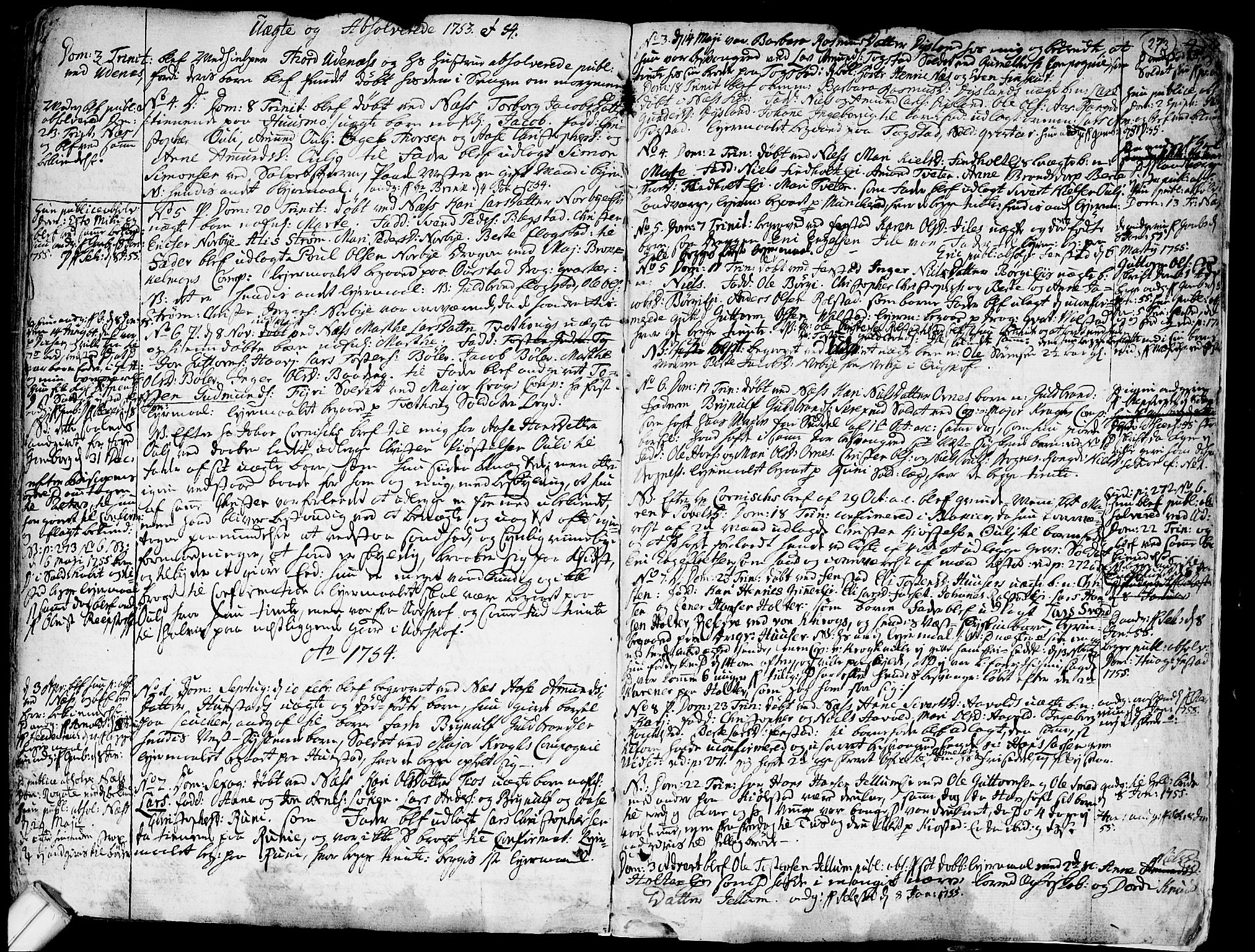 Nes prestekontor Kirkebøker, SAO/A-10410/F/Fa/L0003: Ministerialbok nr. I 3, 1734-1781, s. 273