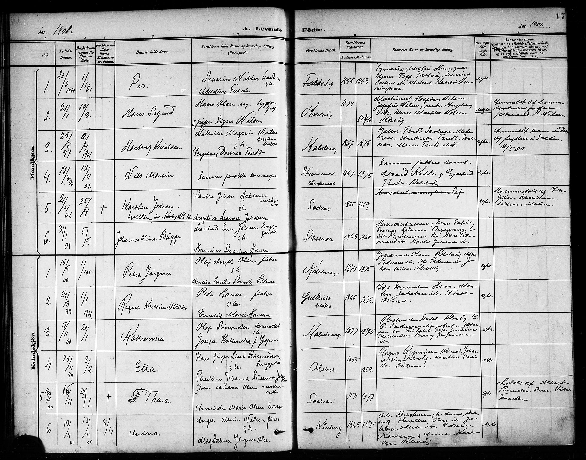 Ministerialprotokoller, klokkerbøker og fødselsregistre - Nordland, AV/SAT-A-1459/874/L1078: Klokkerbok nr. 874C07, 1900-1907, s. 17