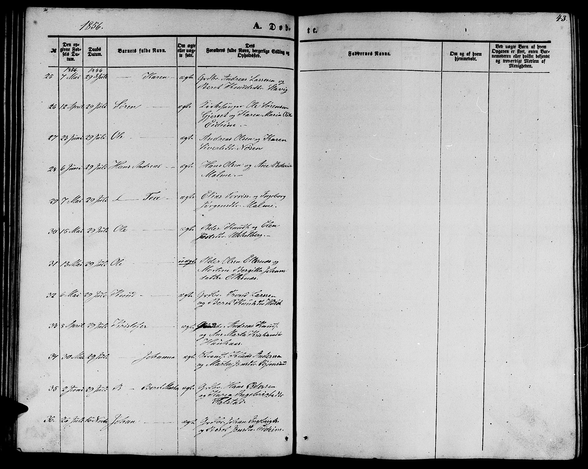 Ministerialprotokoller, klokkerbøker og fødselsregistre - Møre og Romsdal, AV/SAT-A-1454/565/L0753: Klokkerbok nr. 565C02, 1845-1870, s. 43