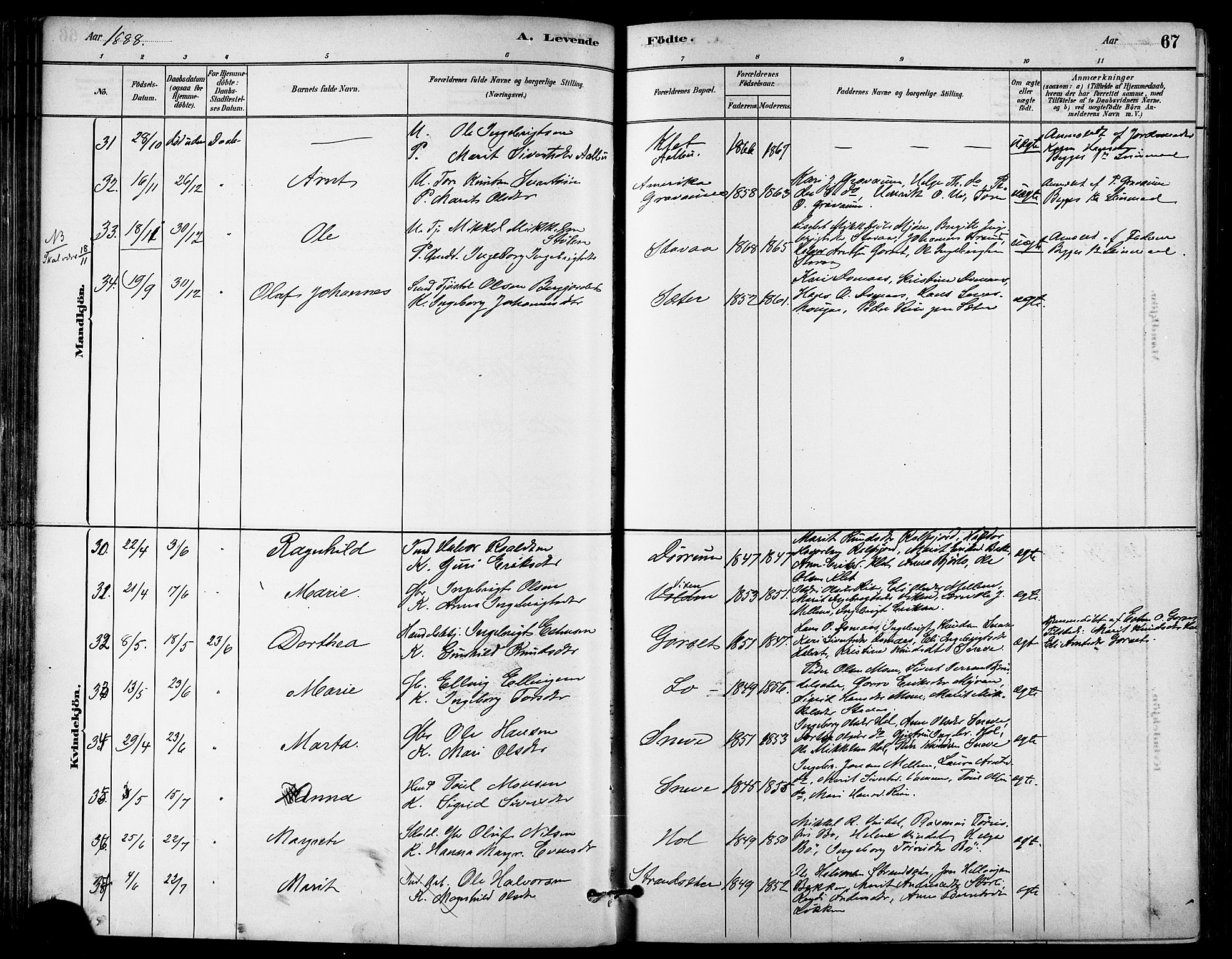 Ministerialprotokoller, klokkerbøker og fødselsregistre - Sør-Trøndelag, SAT/A-1456/678/L0901: Ministerialbok nr. 678A10, 1881-1894, s. 67