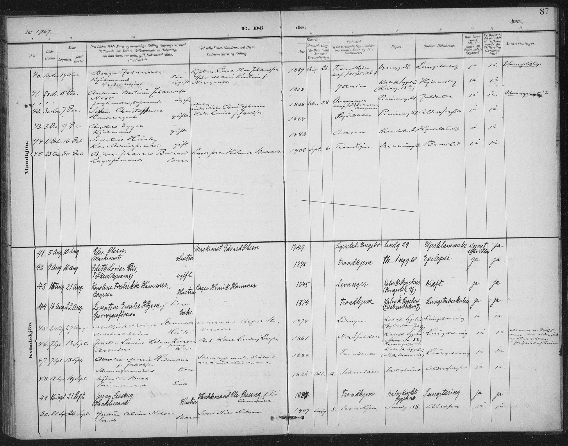 Ministerialprotokoller, klokkerbøker og fødselsregistre - Sør-Trøndelag, SAT/A-1456/602/L0123: Ministerialbok nr. 602A21, 1895-1910, s. 87
