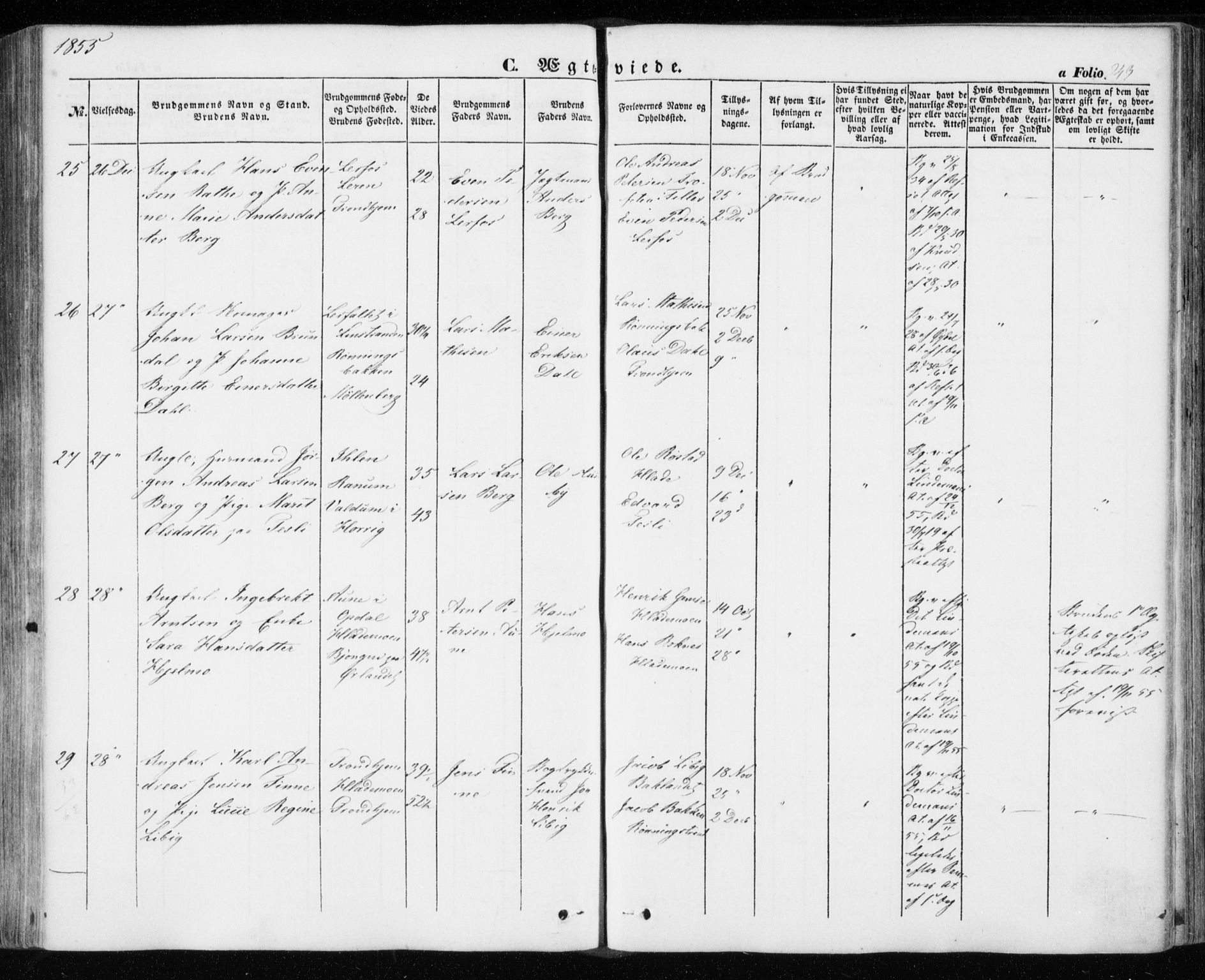 Ministerialprotokoller, klokkerbøker og fødselsregistre - Sør-Trøndelag, SAT/A-1456/606/L0291: Ministerialbok nr. 606A06, 1848-1856, s. 243