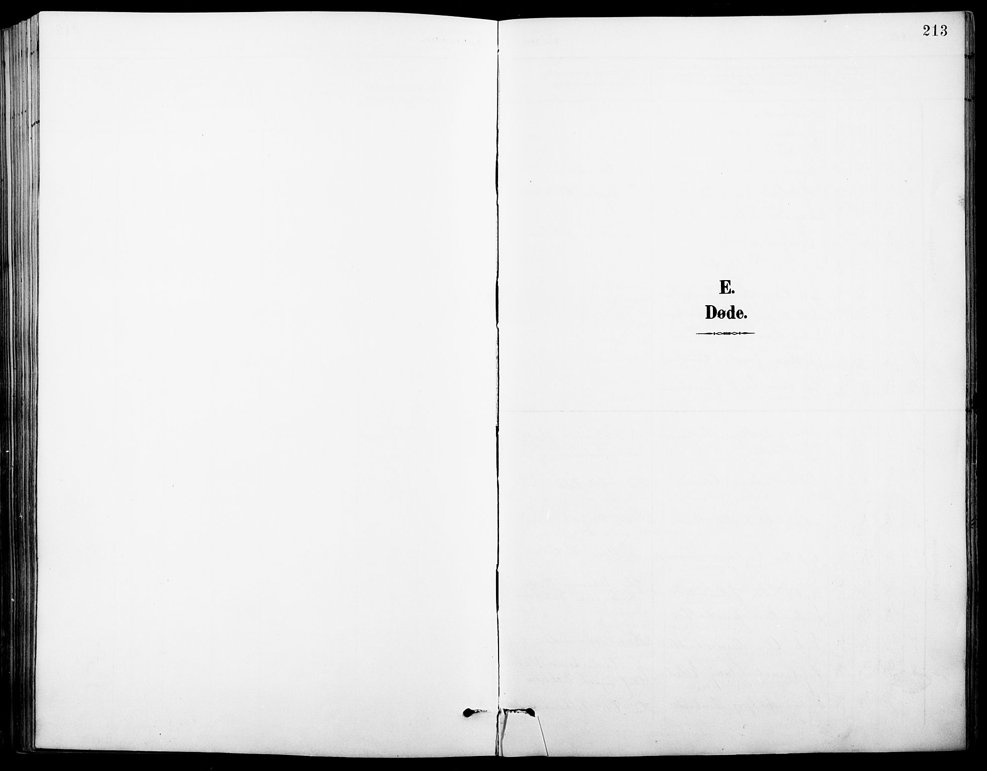 Vinger prestekontor, SAH/PREST-024/H/Ha/Hab/L0004: Klokkerbok nr. 4, 1895-1920, s. 213