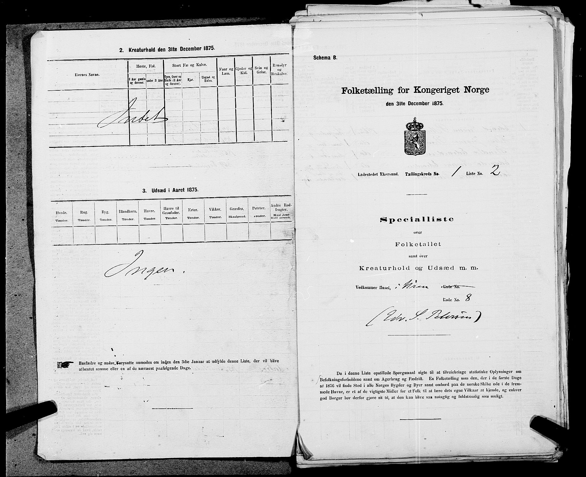 SAST, Folketelling 1875 for 1101B Eigersund prestegjeld, Egersund ladested, 1875, s. 3