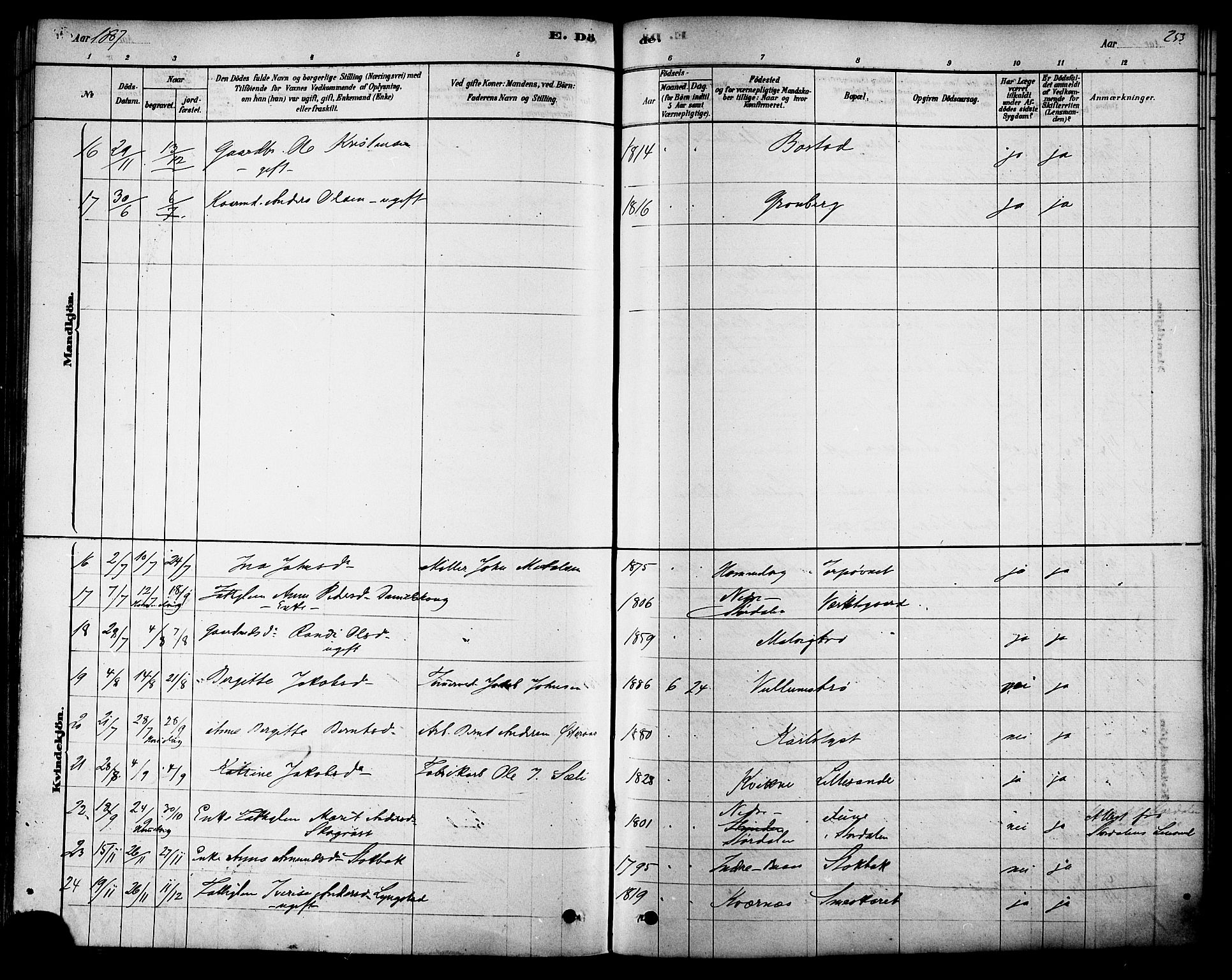 Ministerialprotokoller, klokkerbøker og fødselsregistre - Sør-Trøndelag, AV/SAT-A-1456/616/L0410: Ministerialbok nr. 616A07, 1878-1893, s. 253