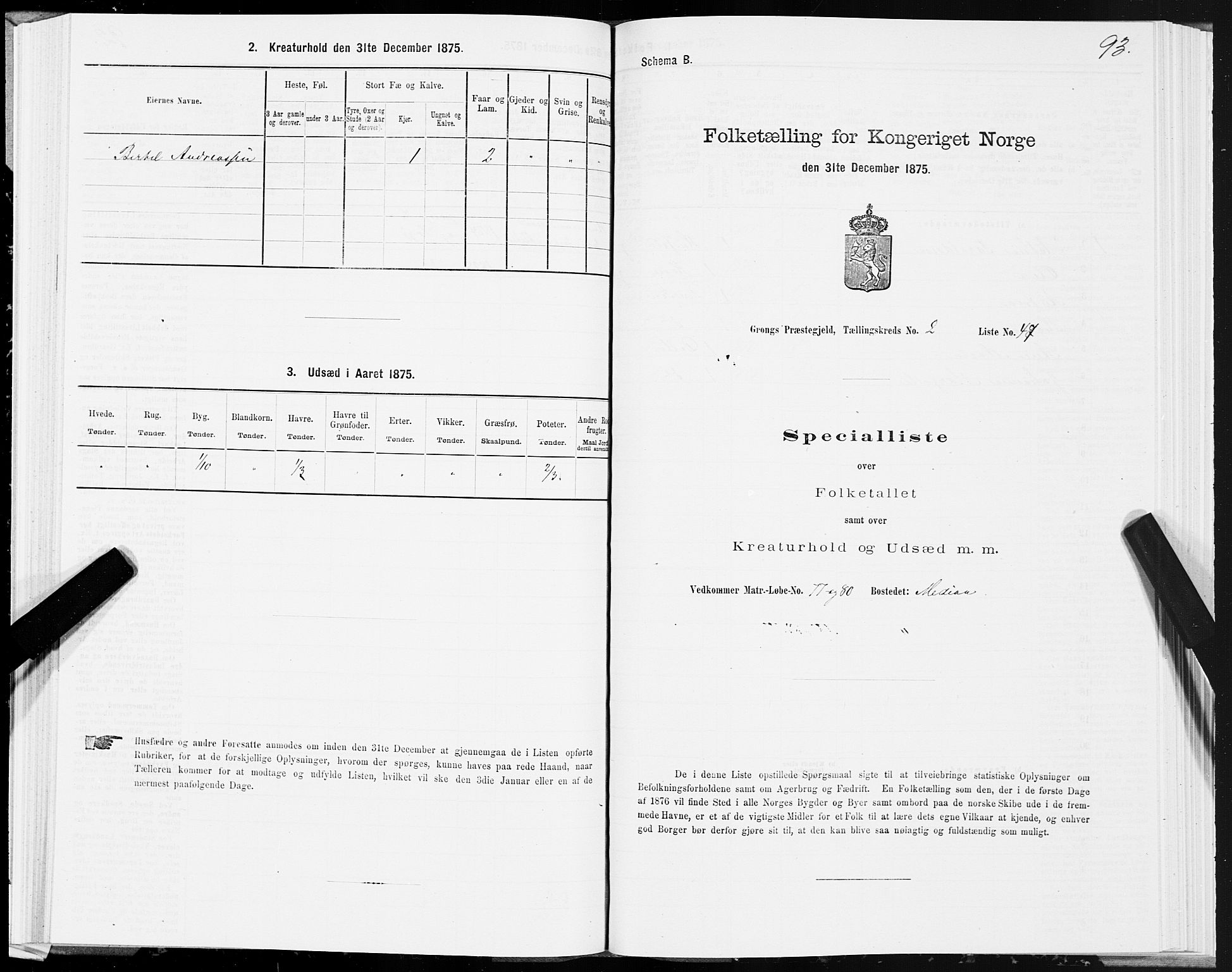 SAT, Folketelling 1875 for 1742P Grong prestegjeld, 1875, s. 2093