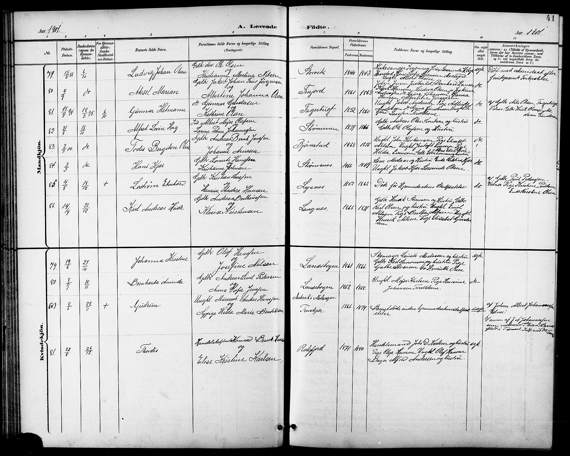 Lenvik sokneprestembete, AV/SATØ-S-1310/H/Ha/Hab/L0008klokker: Klokkerbok nr. 8, 1899-1911, s. 41