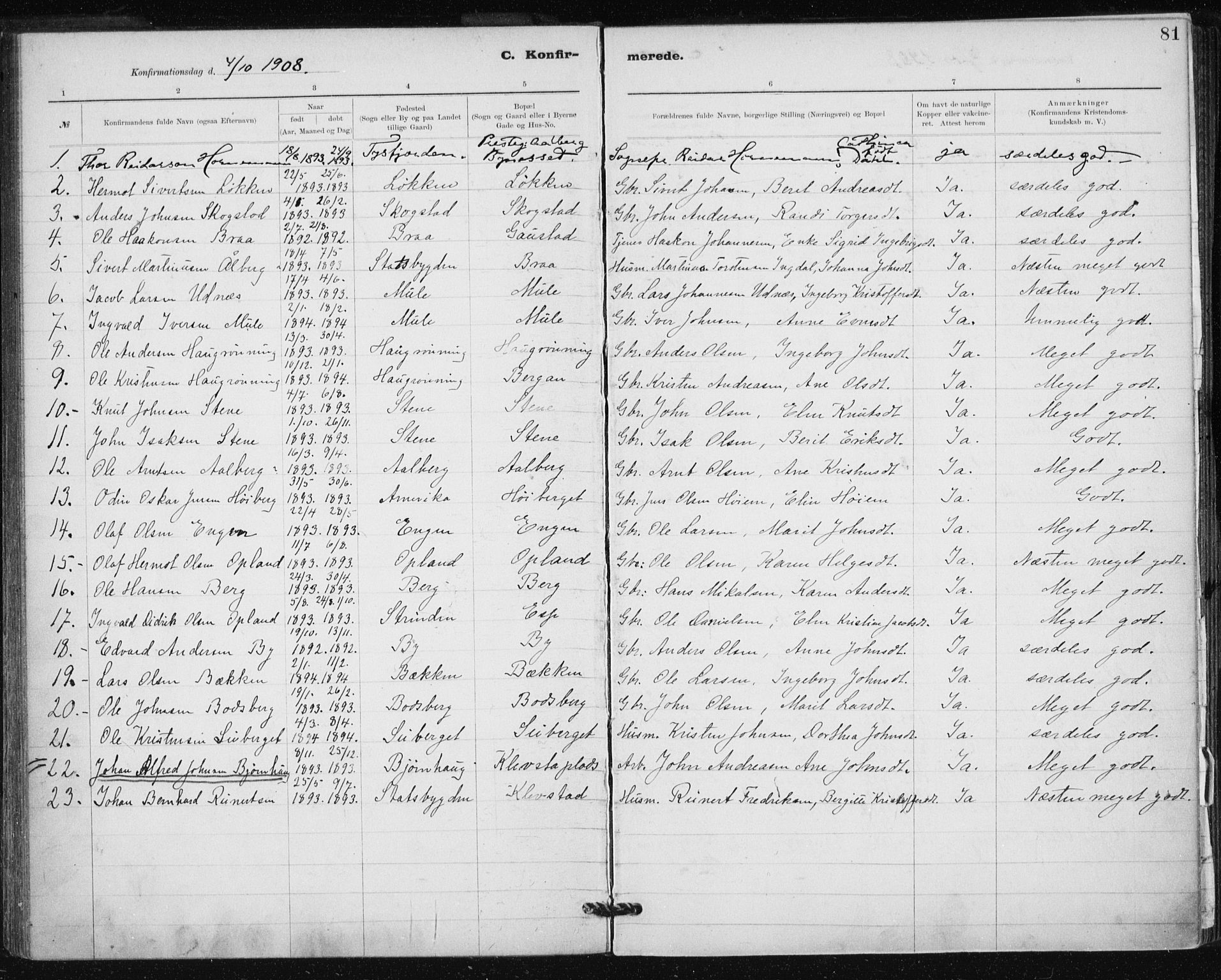 Ministerialprotokoller, klokkerbøker og fødselsregistre - Sør-Trøndelag, AV/SAT-A-1456/612/L0381: Ministerialbok nr. 612A13, 1907-1923, s. 81
