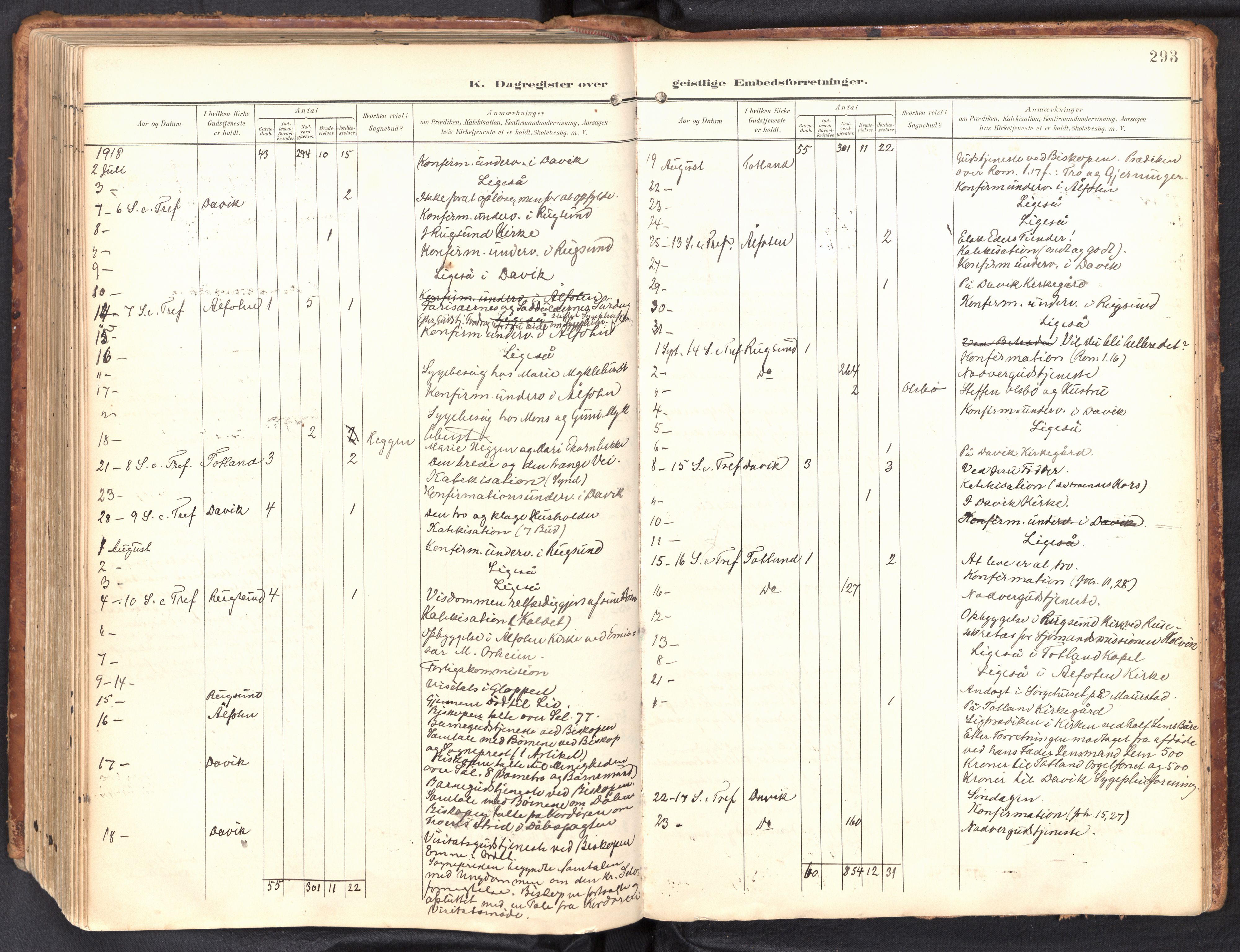 Davik sokneprestembete, AV/SAB-A-79701/H/Haa/Haab/L0002: Ministerialbok nr. B 2, 1901-1934, s. 293