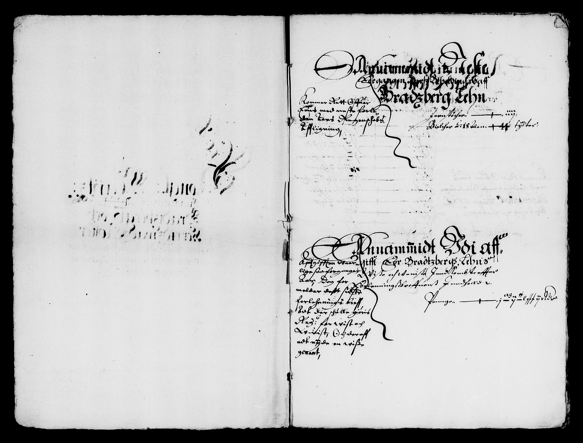 Rentekammeret inntil 1814, Reviderte regnskaper, Lensregnskaper, AV/RA-EA-5023/R/Rb/Rbp/L0035: Bratsberg len, 1648-1650