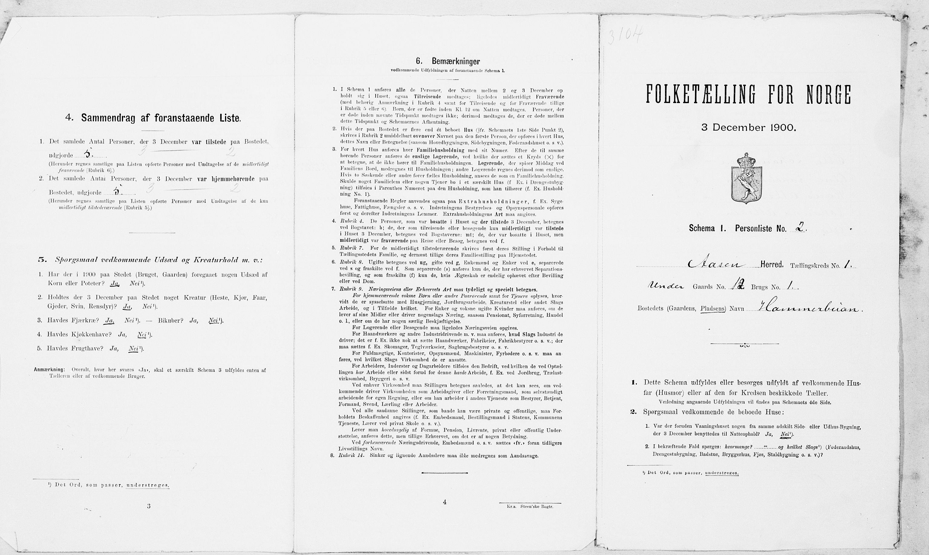 SAT, Folketelling 1900 for 1716 Åsen herred, 1900, s. 46