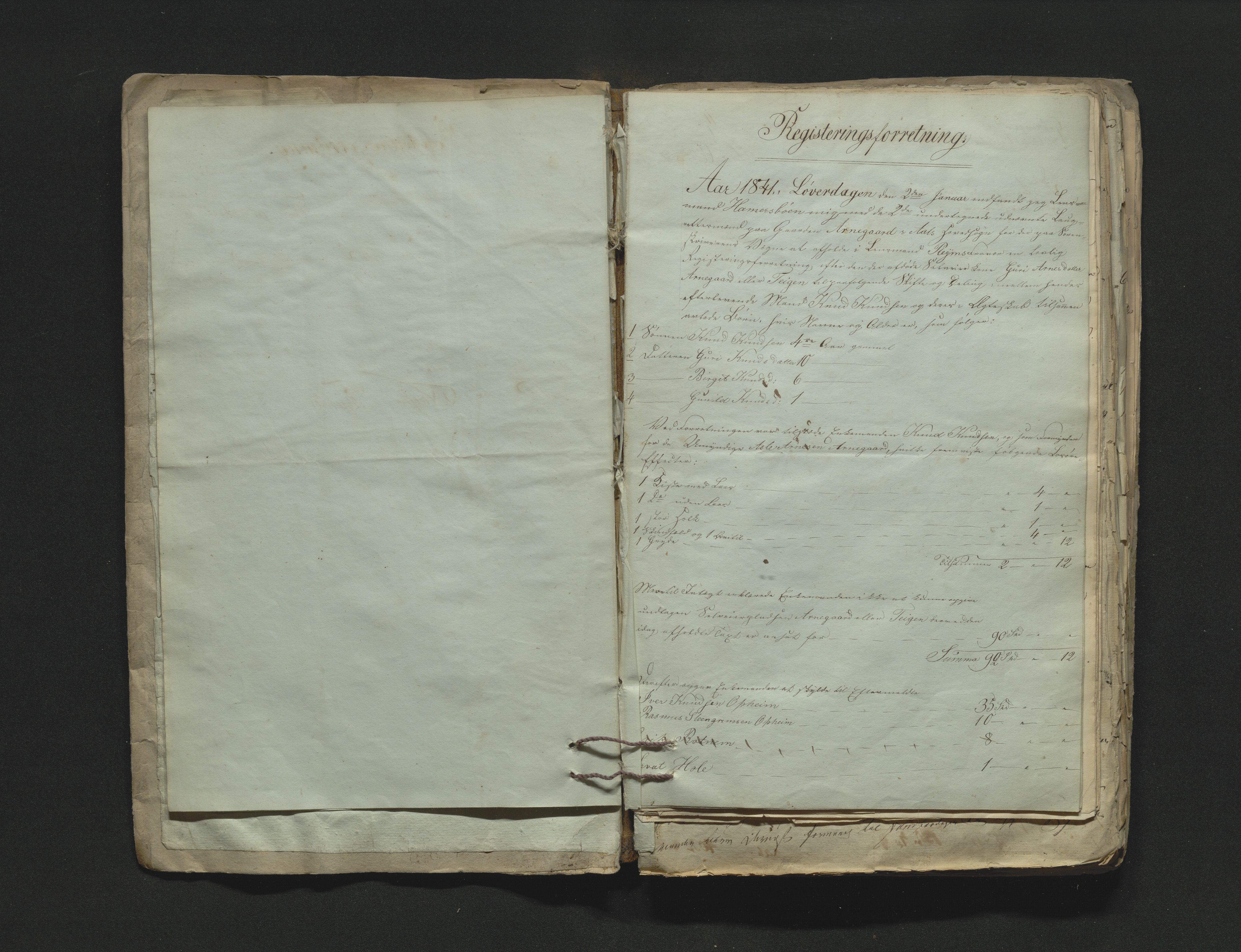 Hallingdal sorenskriveri, AV/SAKO-A-121/H/Hb/Hbb/Hbba/L0014: Skifteregistreringsprotokoll, Sorenskriveriet, 1841