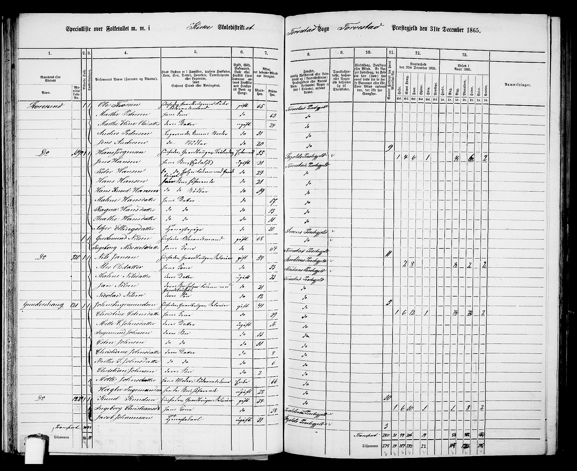 RA, Folketelling 1865 for 1152L Torvastad prestegjeld, Torvastad sokn, Skåre sokn og Utsira sokn, 1865, s. 50