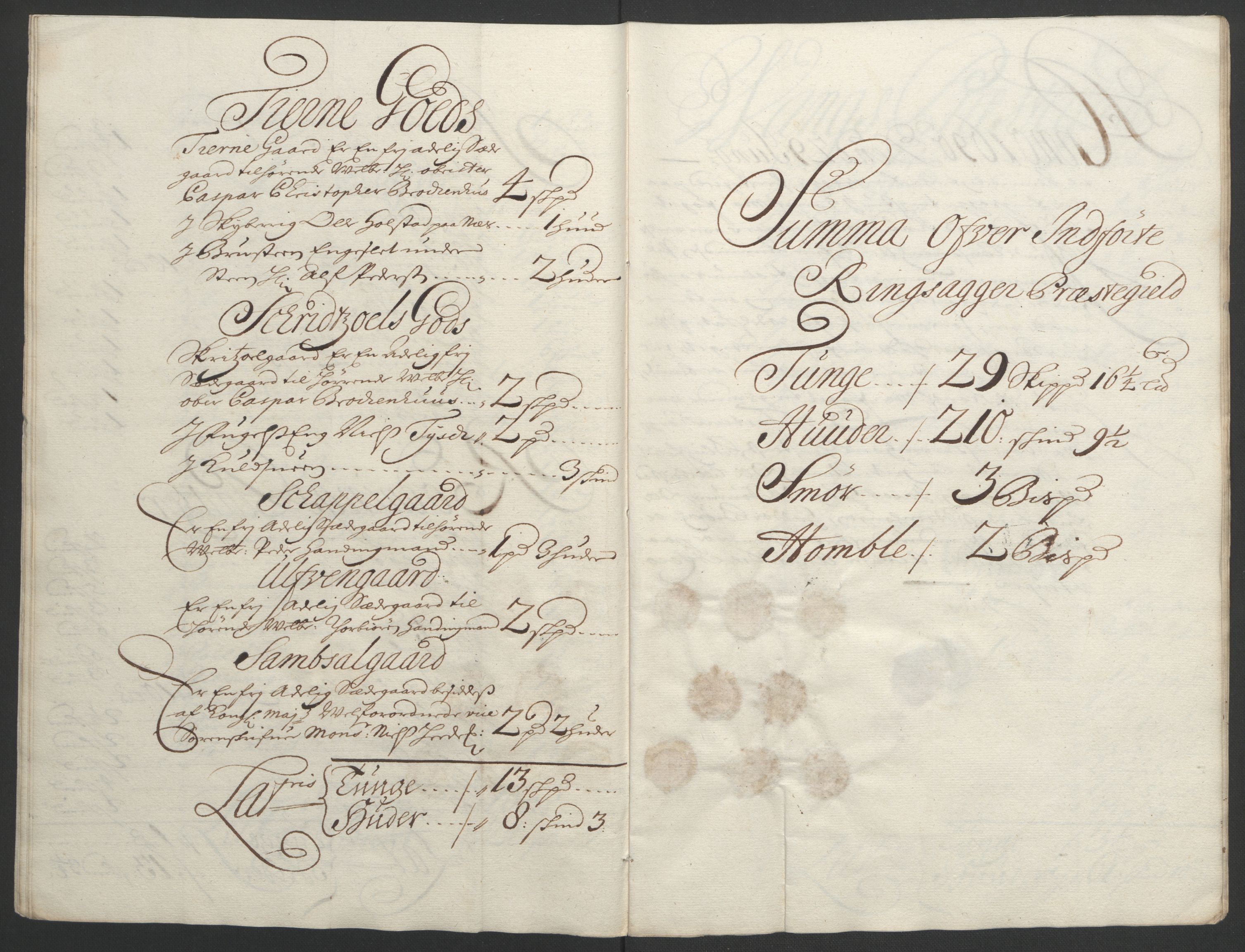 Rentekammeret inntil 1814, Reviderte regnskaper, Fogderegnskap, AV/RA-EA-4092/R16/L1036: Fogderegnskap Hedmark, 1695-1696, s. 410