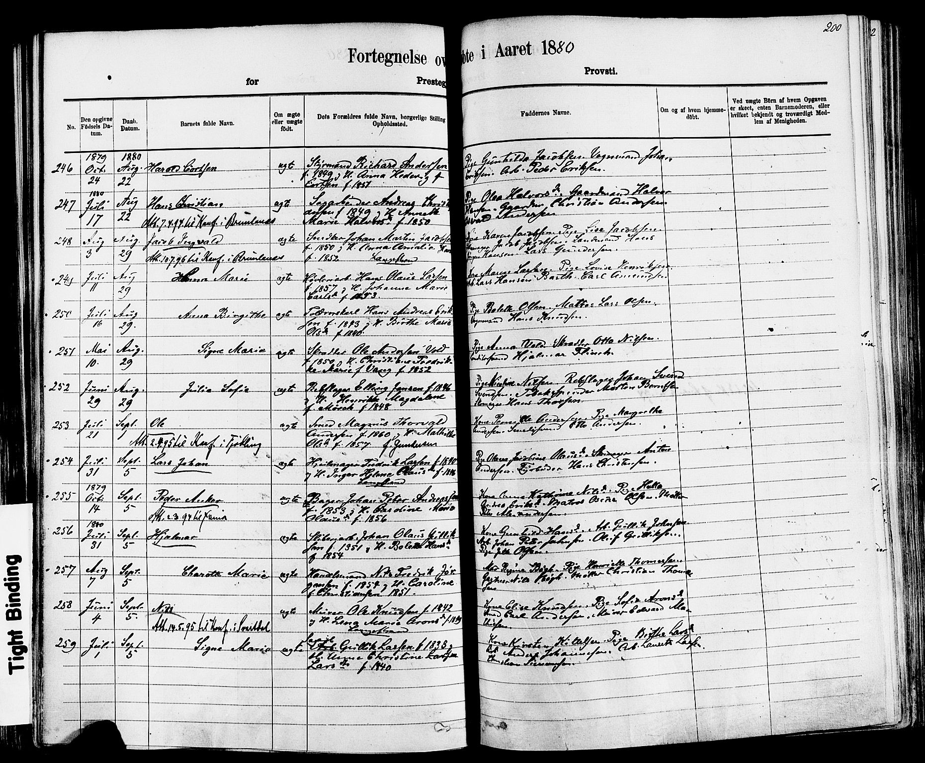 Larvik kirkebøker, SAKO/A-352/F/Fa/L0006: Ministerialbok nr. I 6, 1871-1883, s. 200