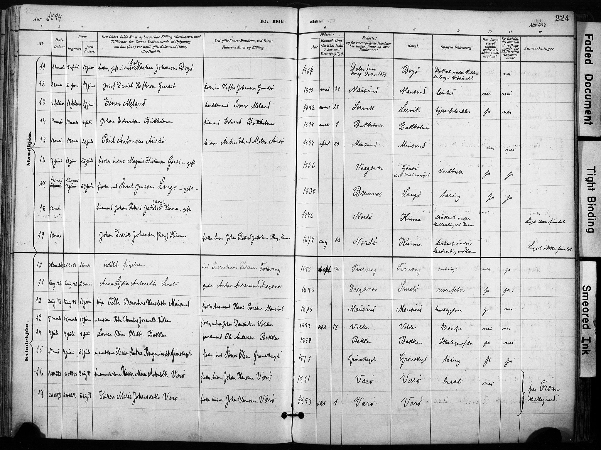 Ministerialprotokoller, klokkerbøker og fødselsregistre - Sør-Trøndelag, AV/SAT-A-1456/640/L0579: Ministerialbok nr. 640A04, 1889-1902, s. 224