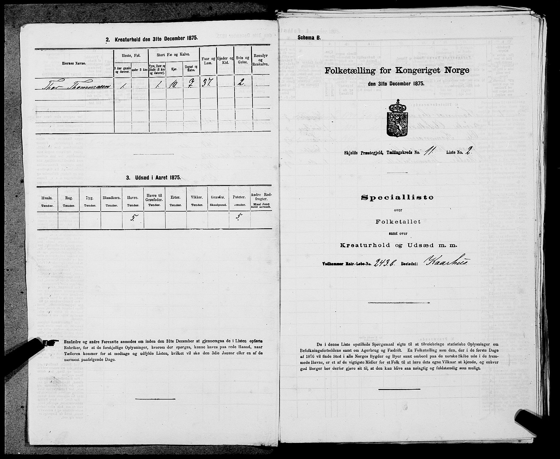 SAST, Folketelling 1875 for 1154P Skjold prestegjeld, 1875, s. 1106