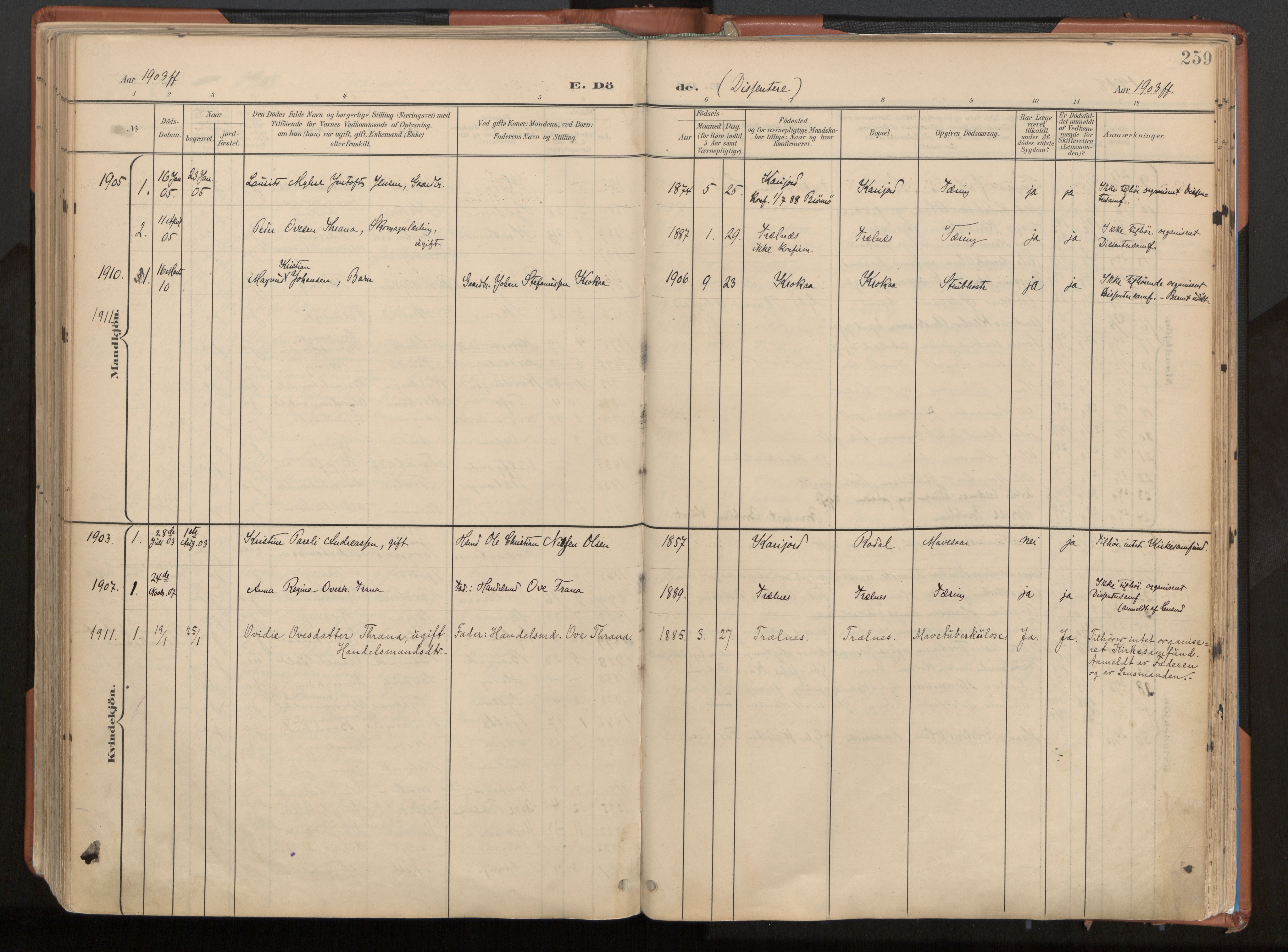 Ministerialprotokoller, klokkerbøker og fødselsregistre - Nordland, AV/SAT-A-1459/813/L0201: Ministerialbok nr. 813A11, 1901-1918, s. 259