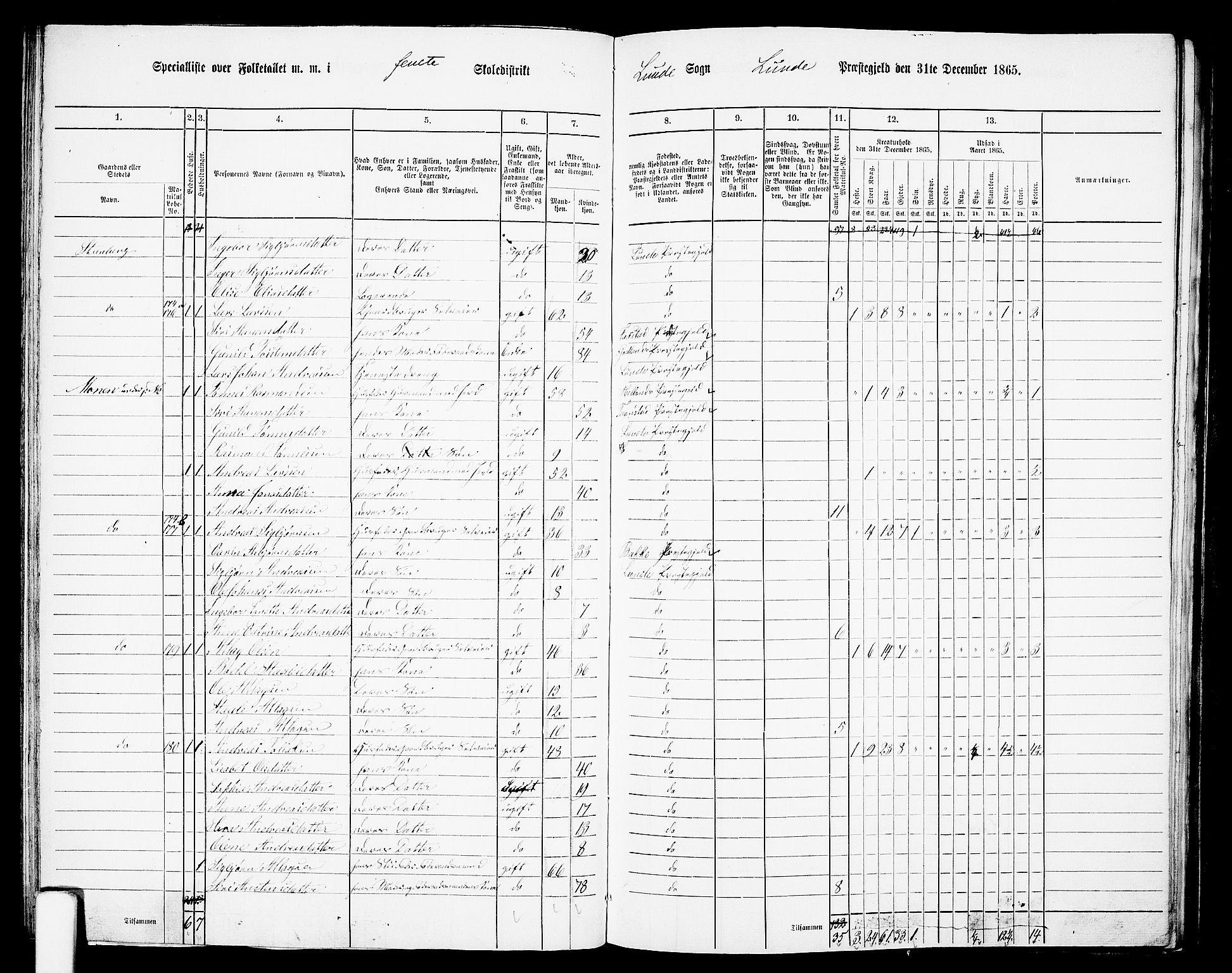 RA, Folketelling 1865 for 1112P Lund prestegjeld, 1865, s. 65