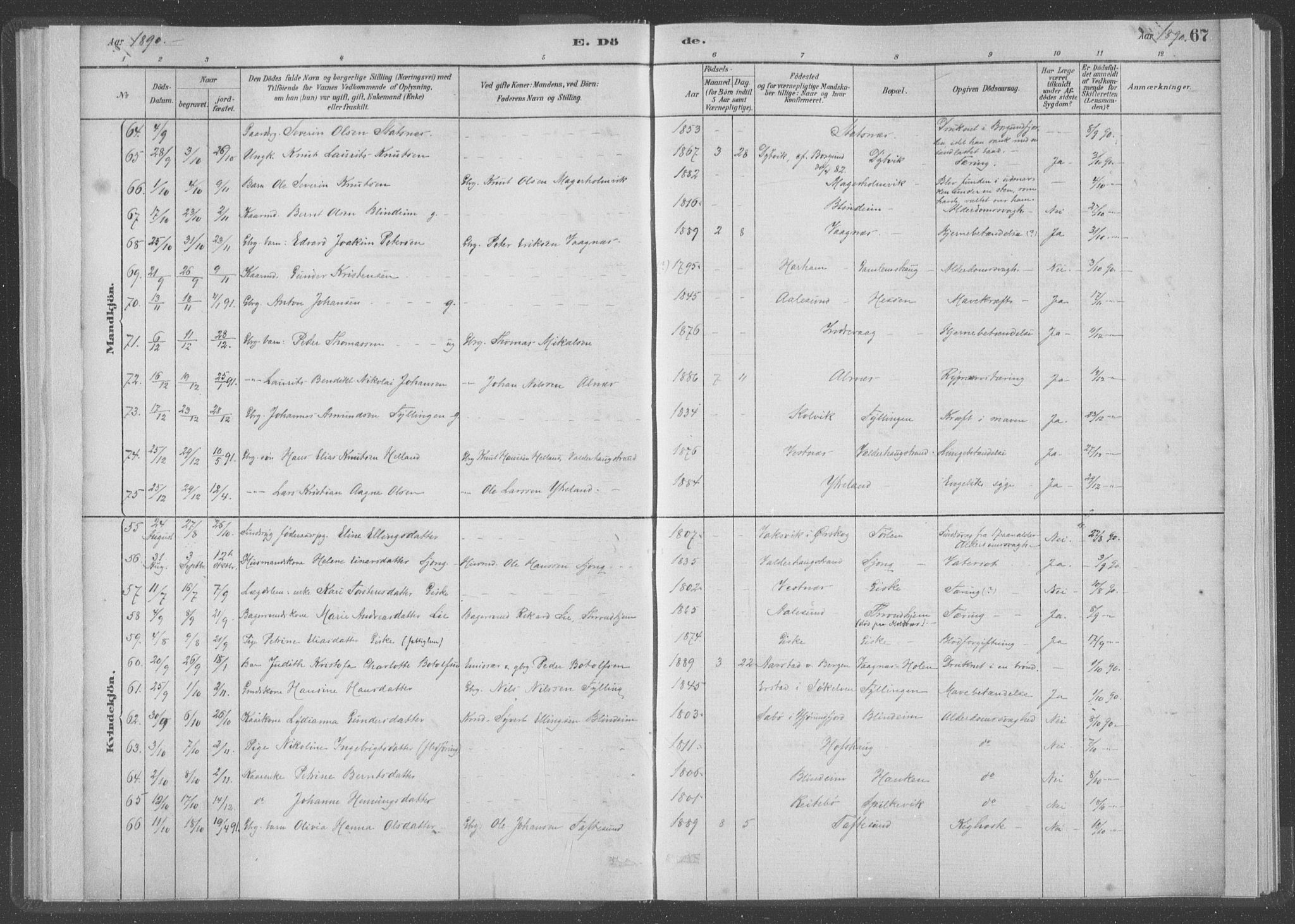 Ministerialprotokoller, klokkerbøker og fødselsregistre - Møre og Romsdal, AV/SAT-A-1454/528/L0403: Ministerialbok nr. 528A13I, 1880-1947, s. 67