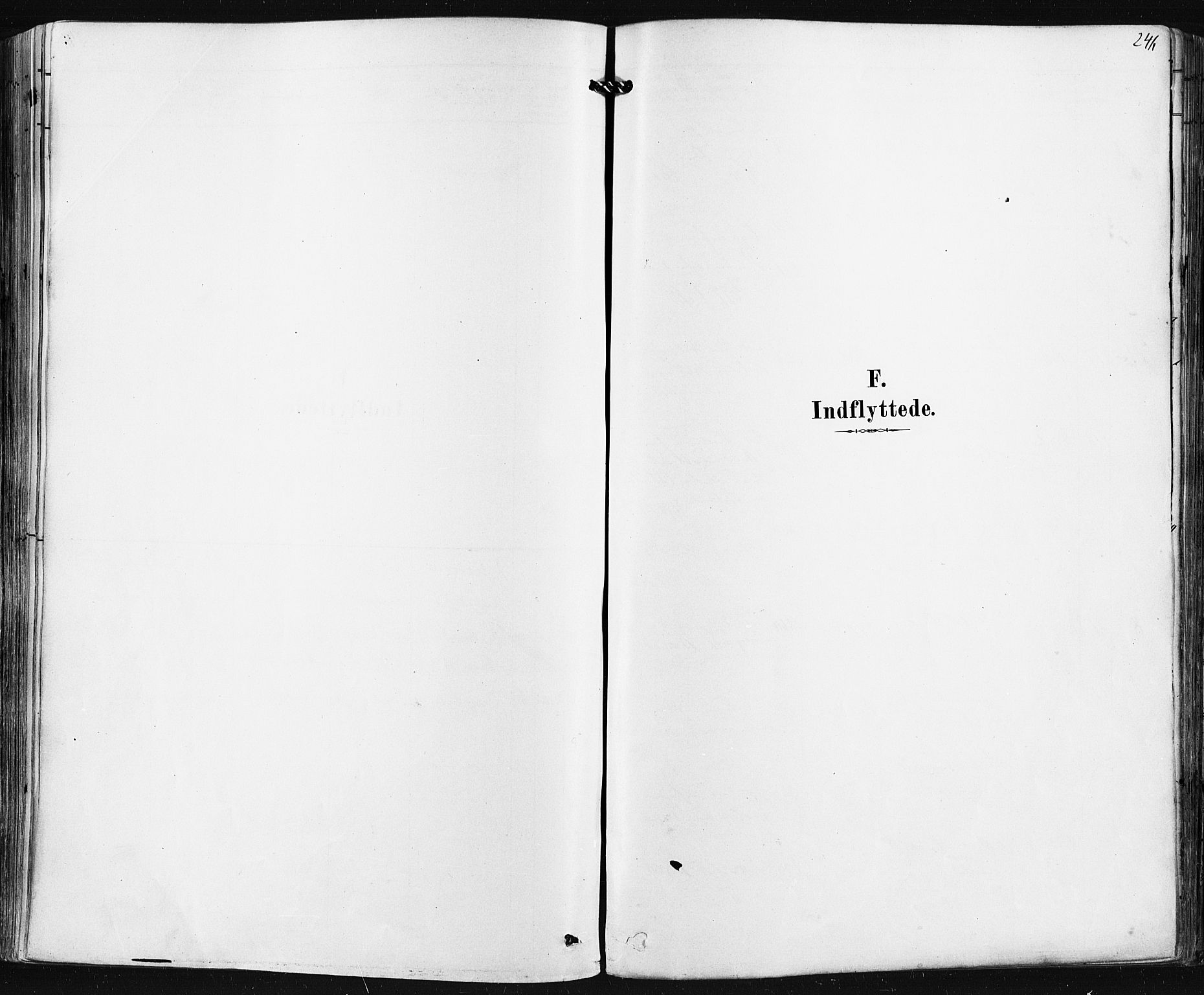 Borre kirkebøker, SAKO/A-338/F/Fa/L0009: Ministerialbok nr. I 9, 1878-1896, s. 246
