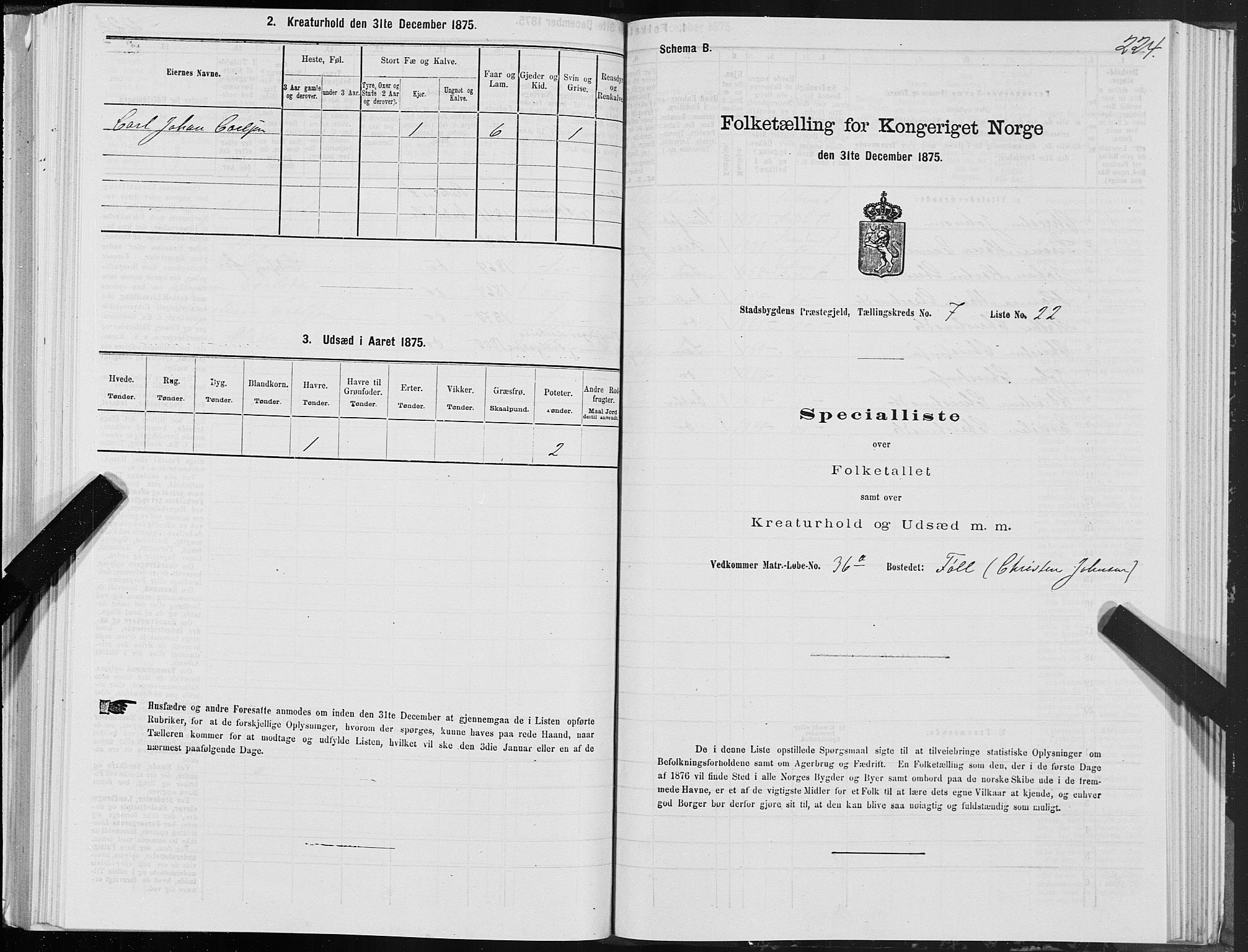 SAT, Folketelling 1875 for 1625P Stadsbygd prestegjeld, 1875, s. 4224