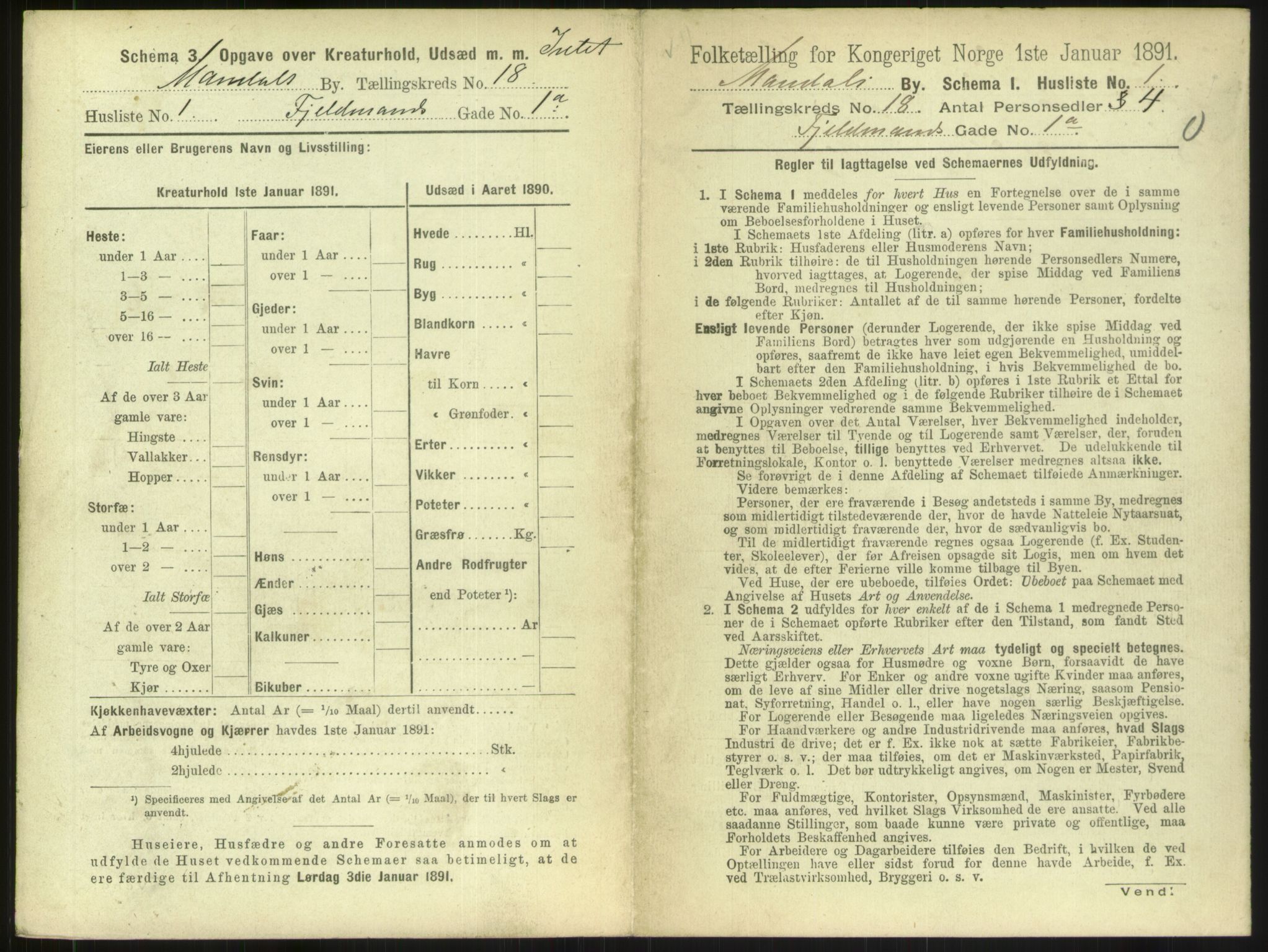 RA, Folketelling 1891 for 1002 Mandal ladested, 1891, s. 817