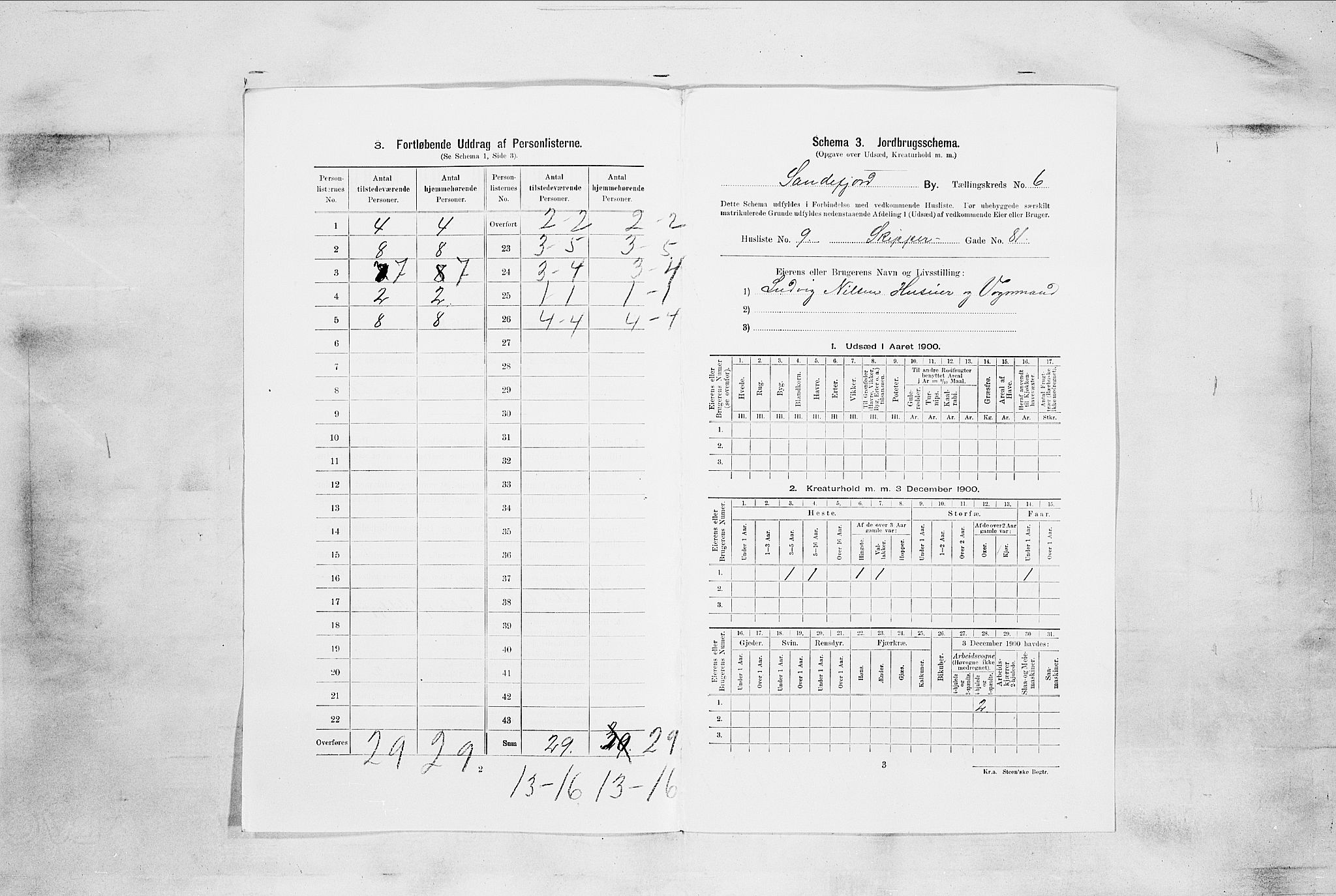RA, Folketelling 1900 for 0706 Sandefjord kjøpstad, 1900, s. 1481