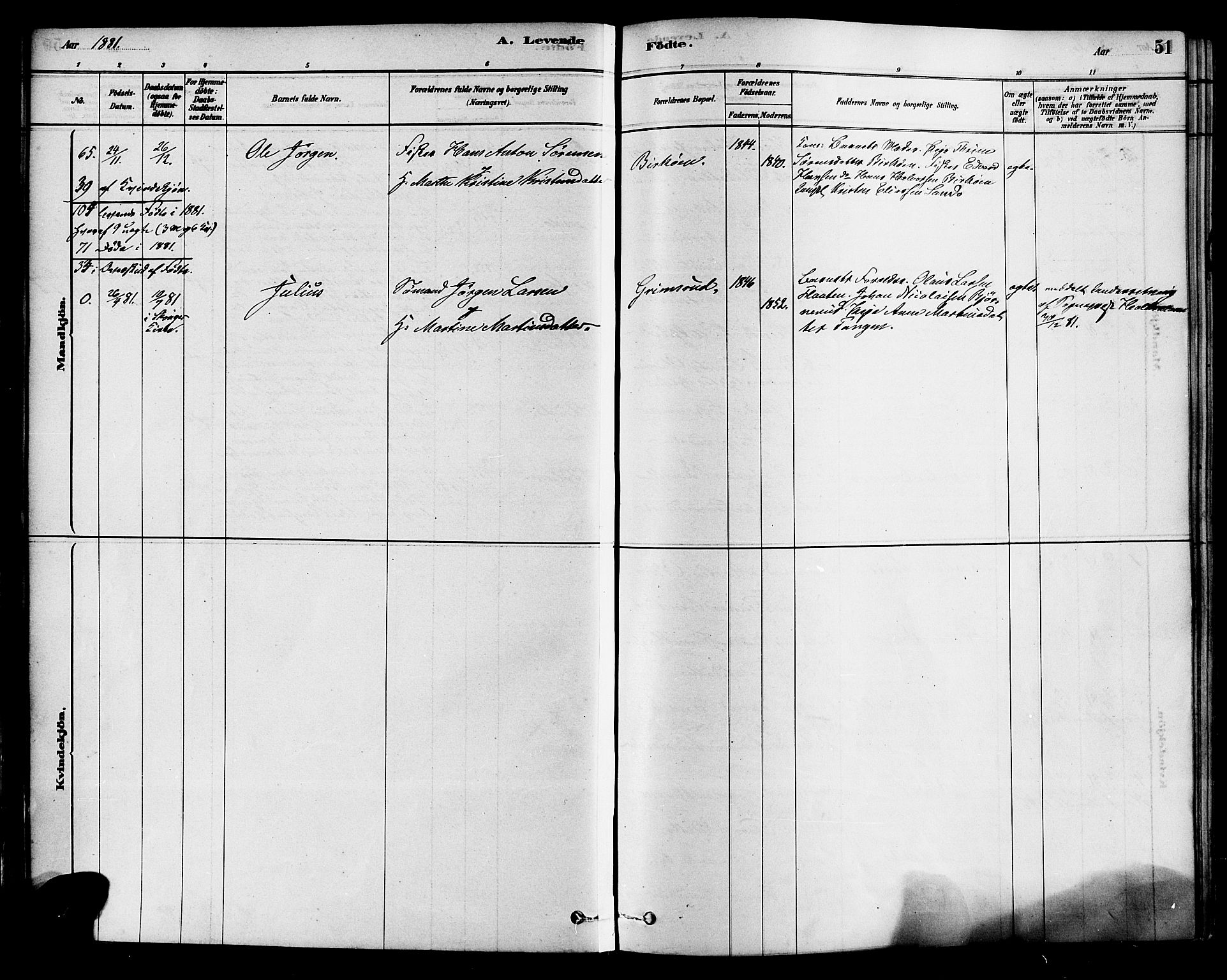 Sande Kirkebøker, AV/SAKO-A-53/F/Fa/L0006: Ministerialbok nr. 6, 1878-1888, s. 51