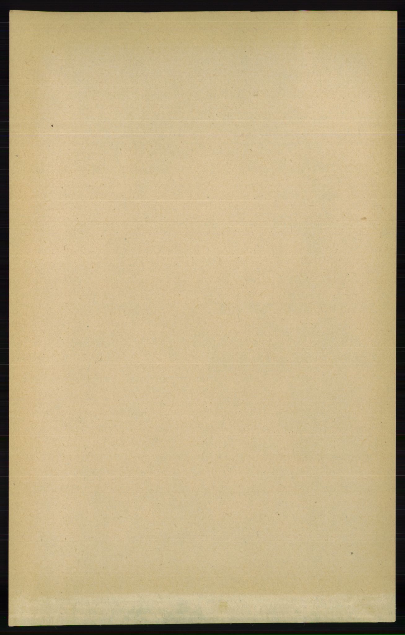 RA, Folketelling 1891 for 0935 Iveland herred, 1891, s. 1021