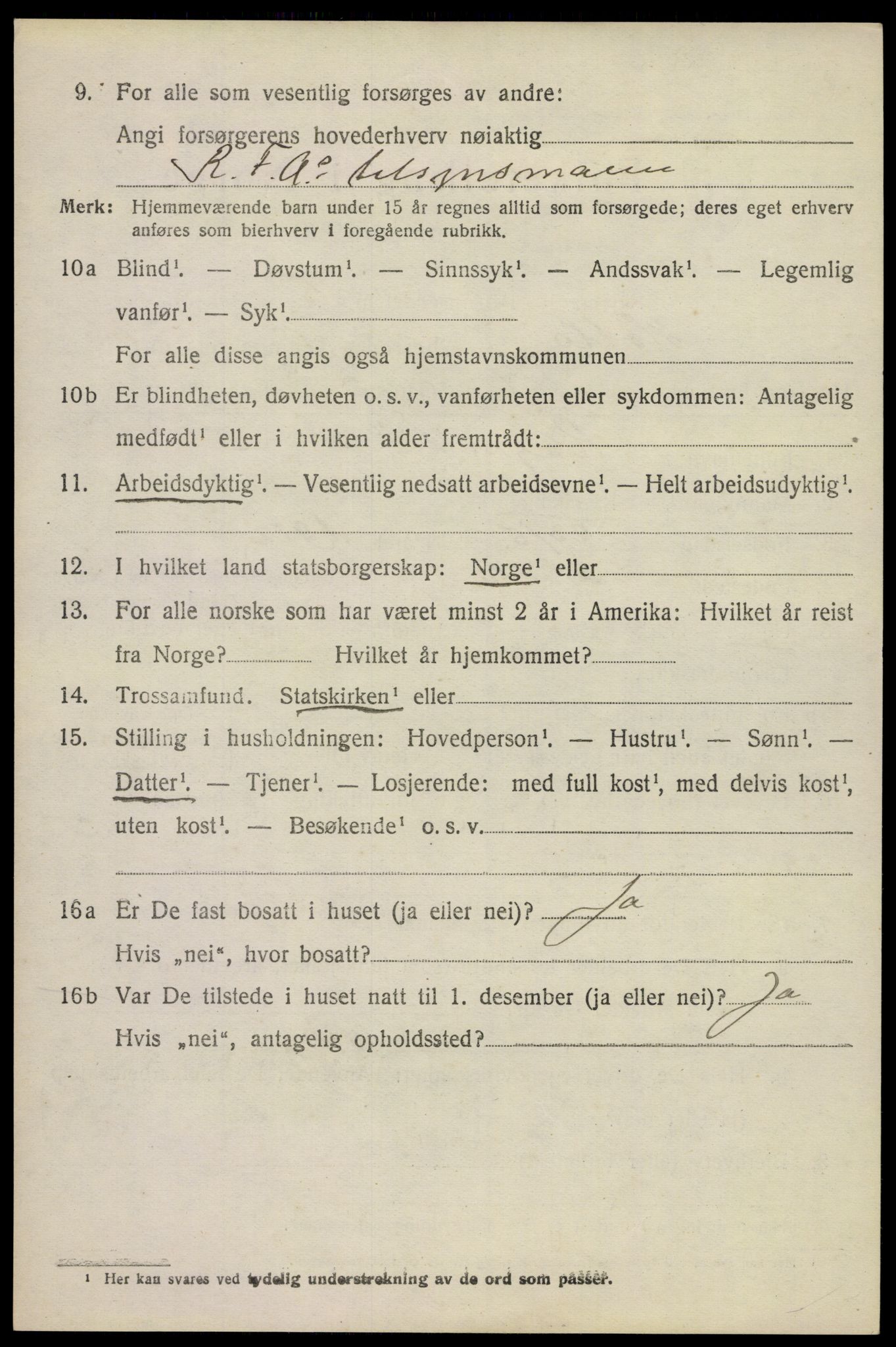 SAKO, Folketelling 1920 for 0819 Holla herred, 1920, s. 6086