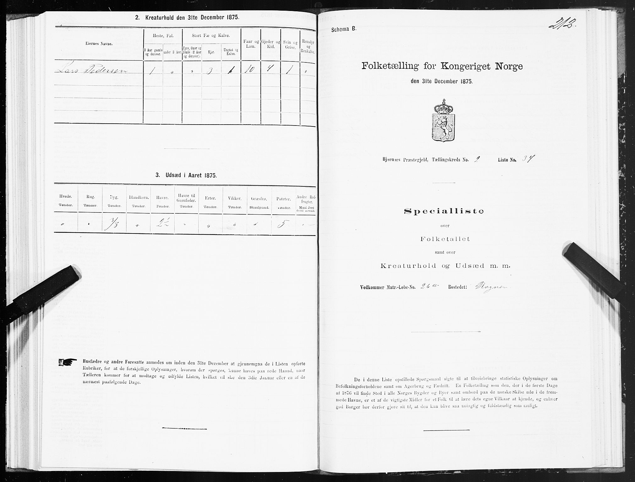 SAT, Folketelling 1875 for 1632P Bjørnør prestegjeld, 1875, s. 1212