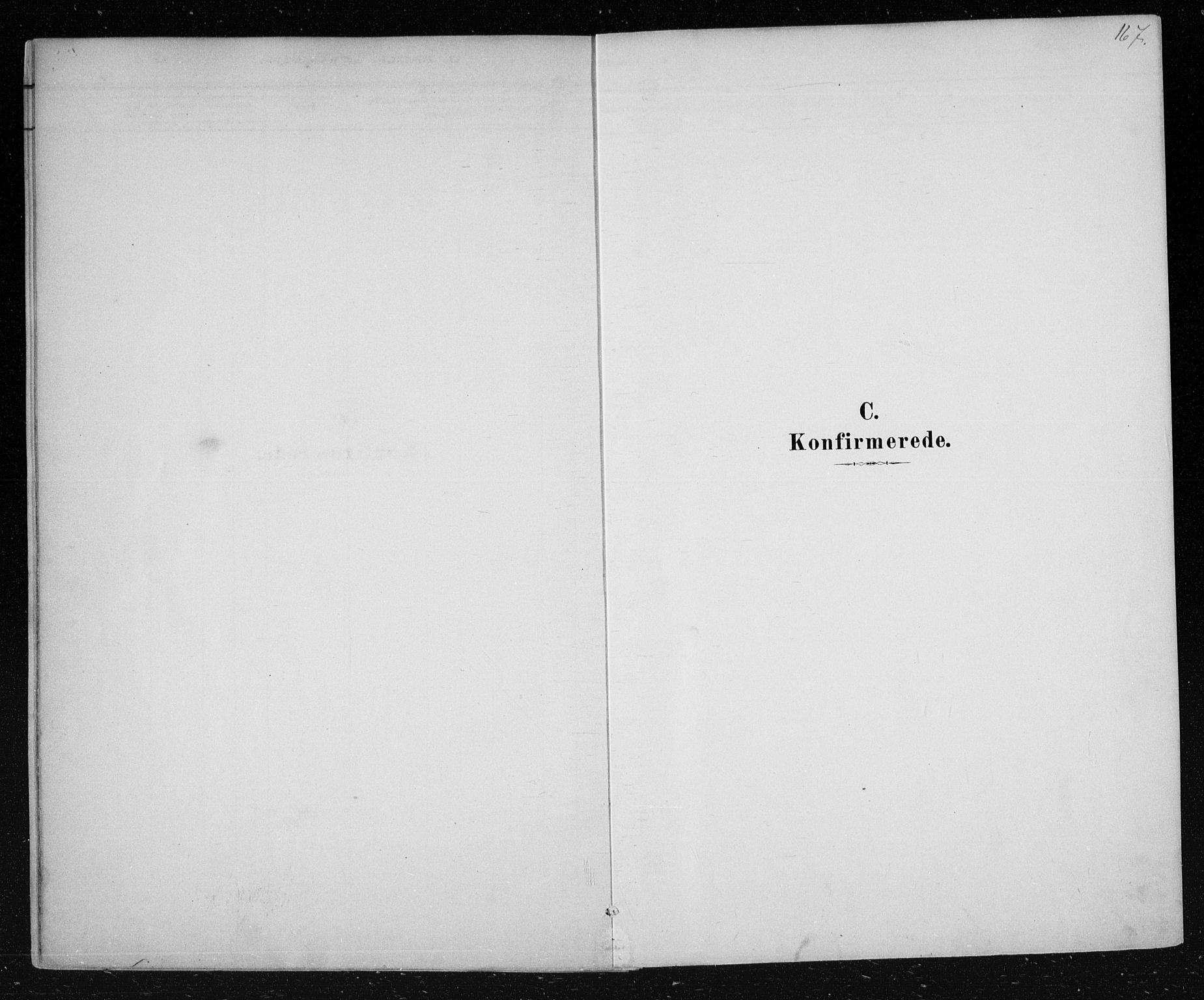 Nes kirkebøker, SAKO/A-236/F/Fa/L0012: Ministerialbok nr. 12, 1881-1917, s. 167