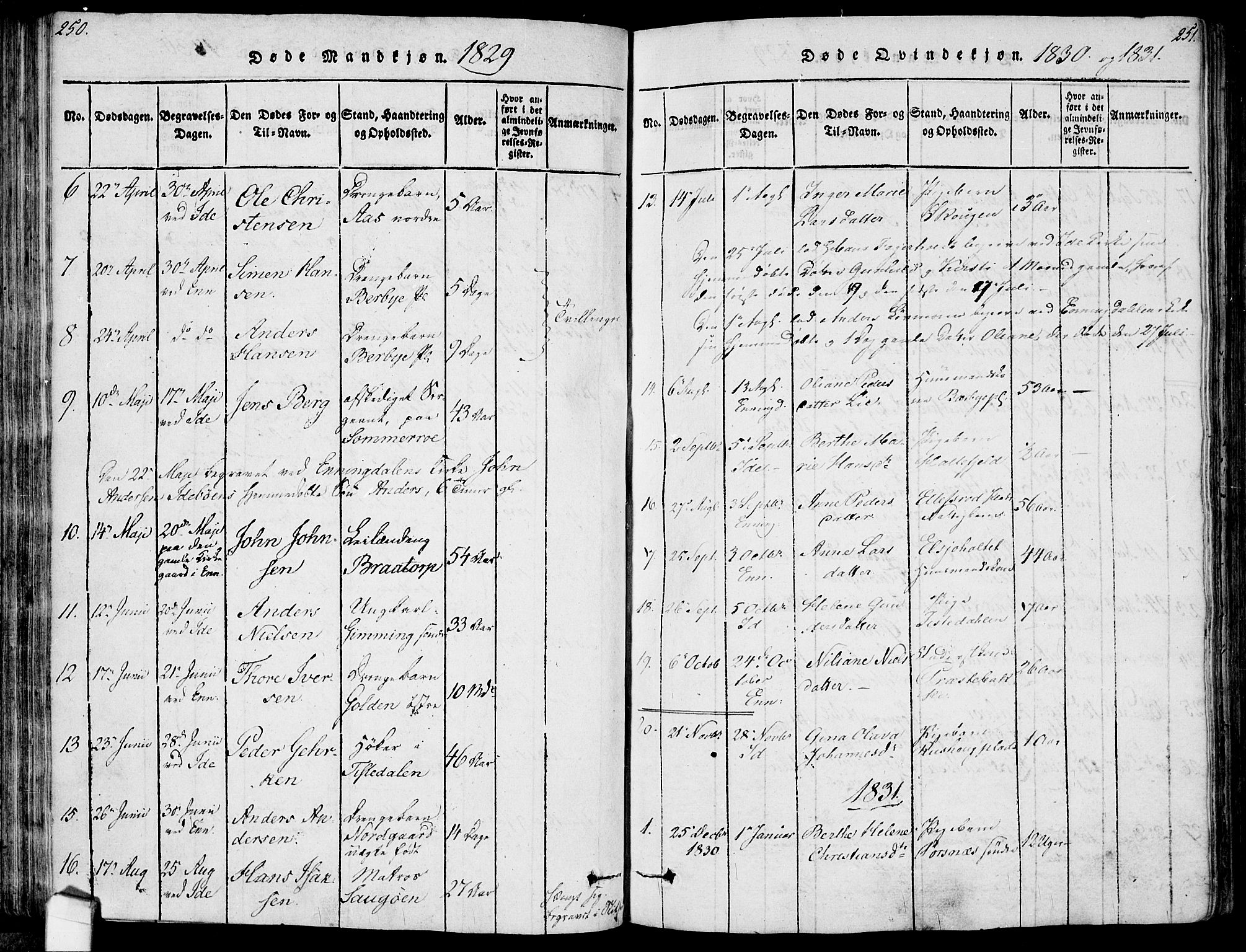 Idd prestekontor Kirkebøker, SAO/A-10911/F/Fc/L0002: Ministerialbok nr. III 2, 1815-1831, s. 250-251