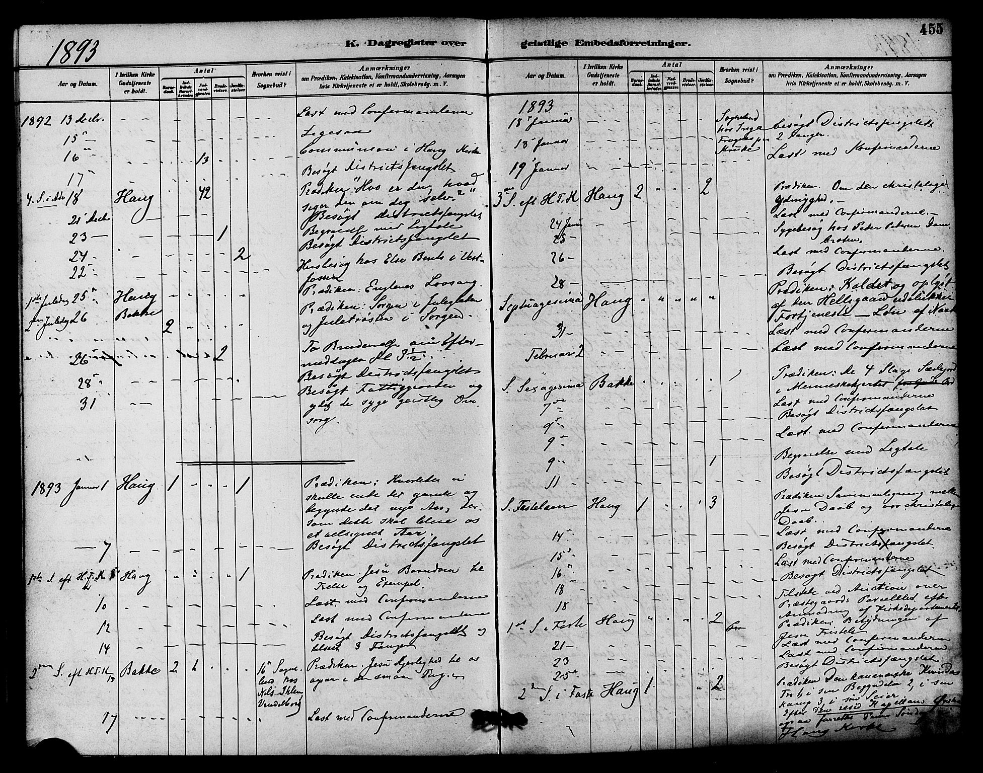 Eiker kirkebøker, AV/SAKO-A-4/F/Fb/L0002: Ministerialbok nr. II 2, 1889-1896, s. 455