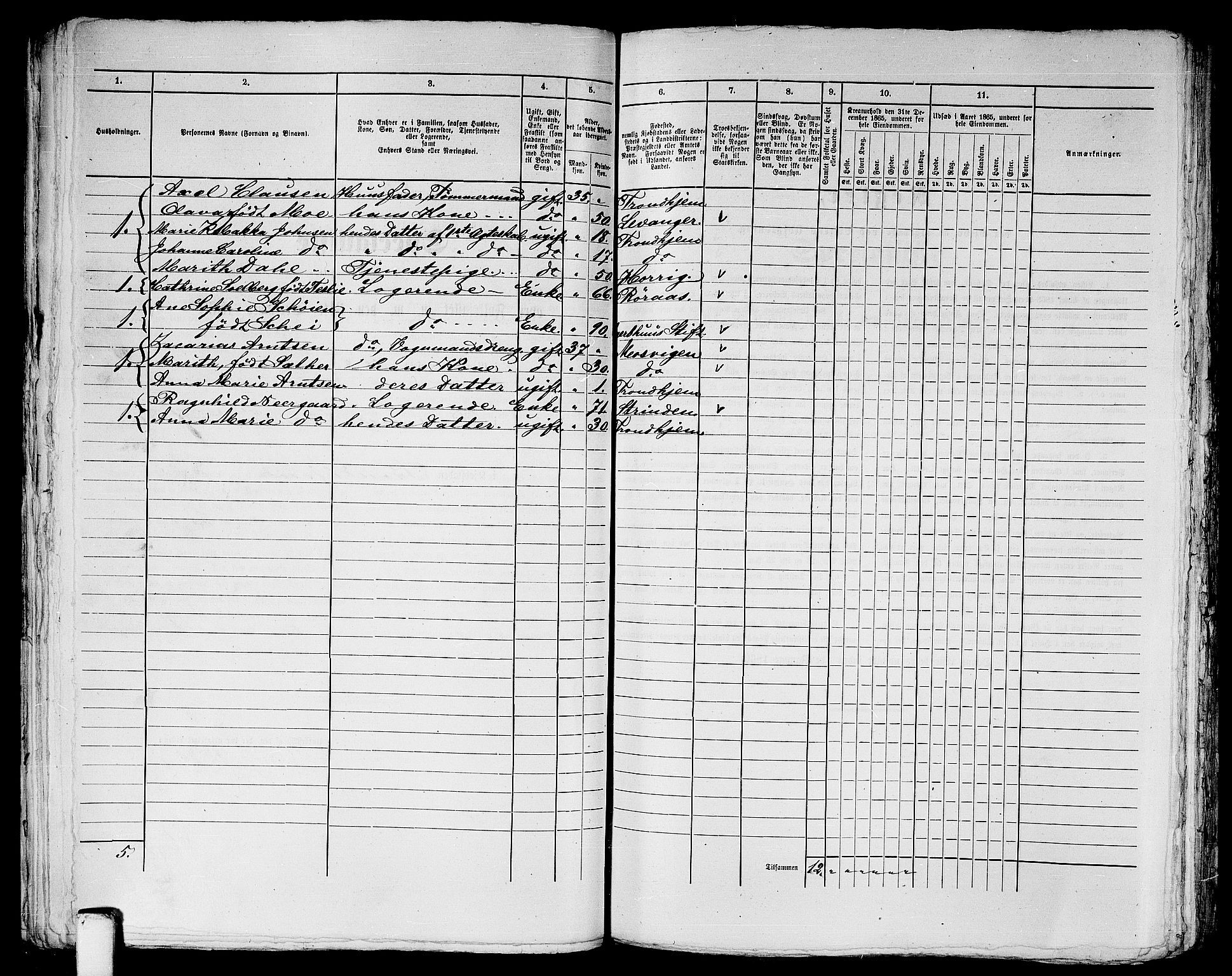 RA, Folketelling 1865 for 1601 Trondheim kjøpstad, 1865, s. 1257