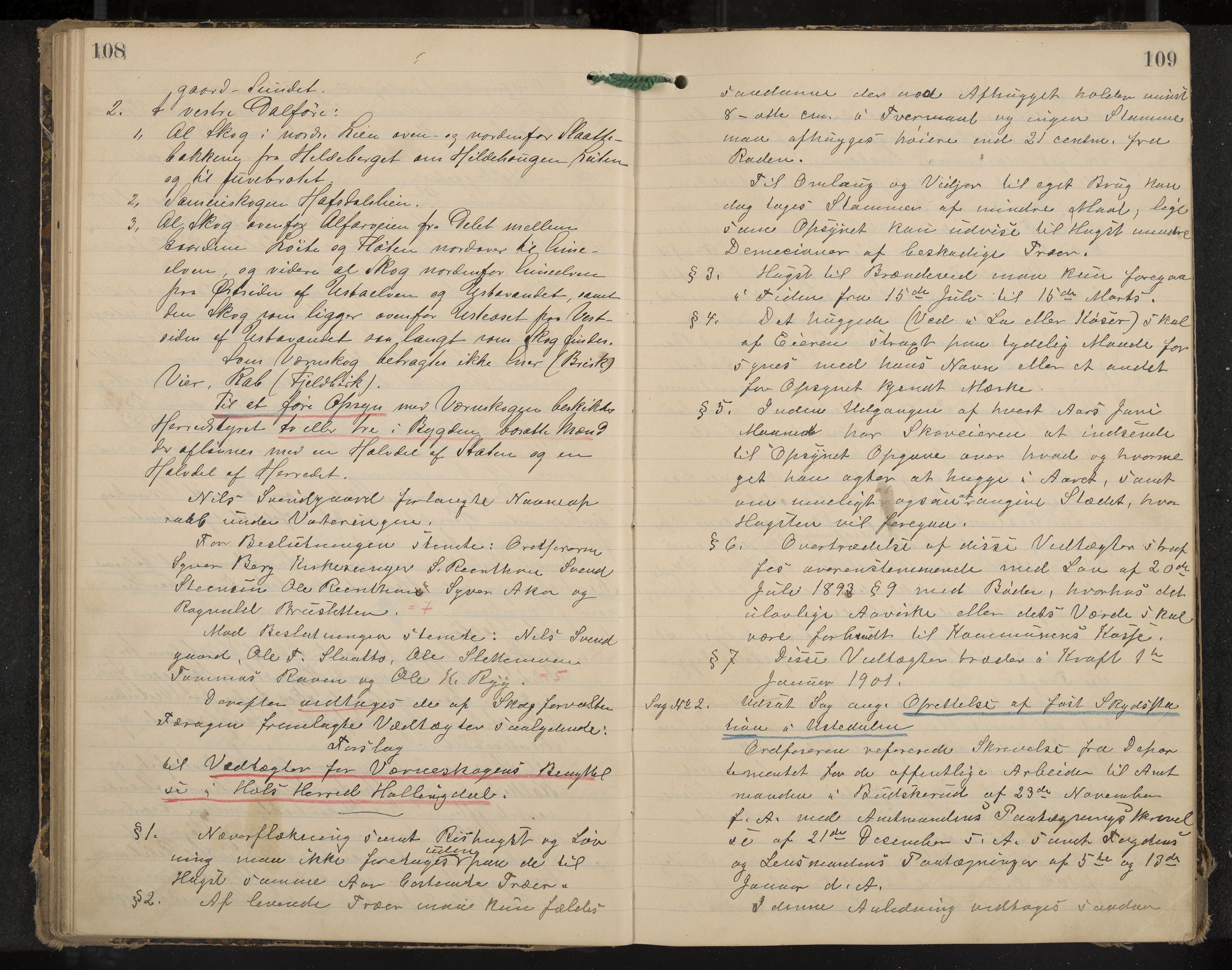 Hol formannskap og sentraladministrasjon, IKAK/0620021-1/A/L0003: Møtebok, 1897-1904, s. 108-109